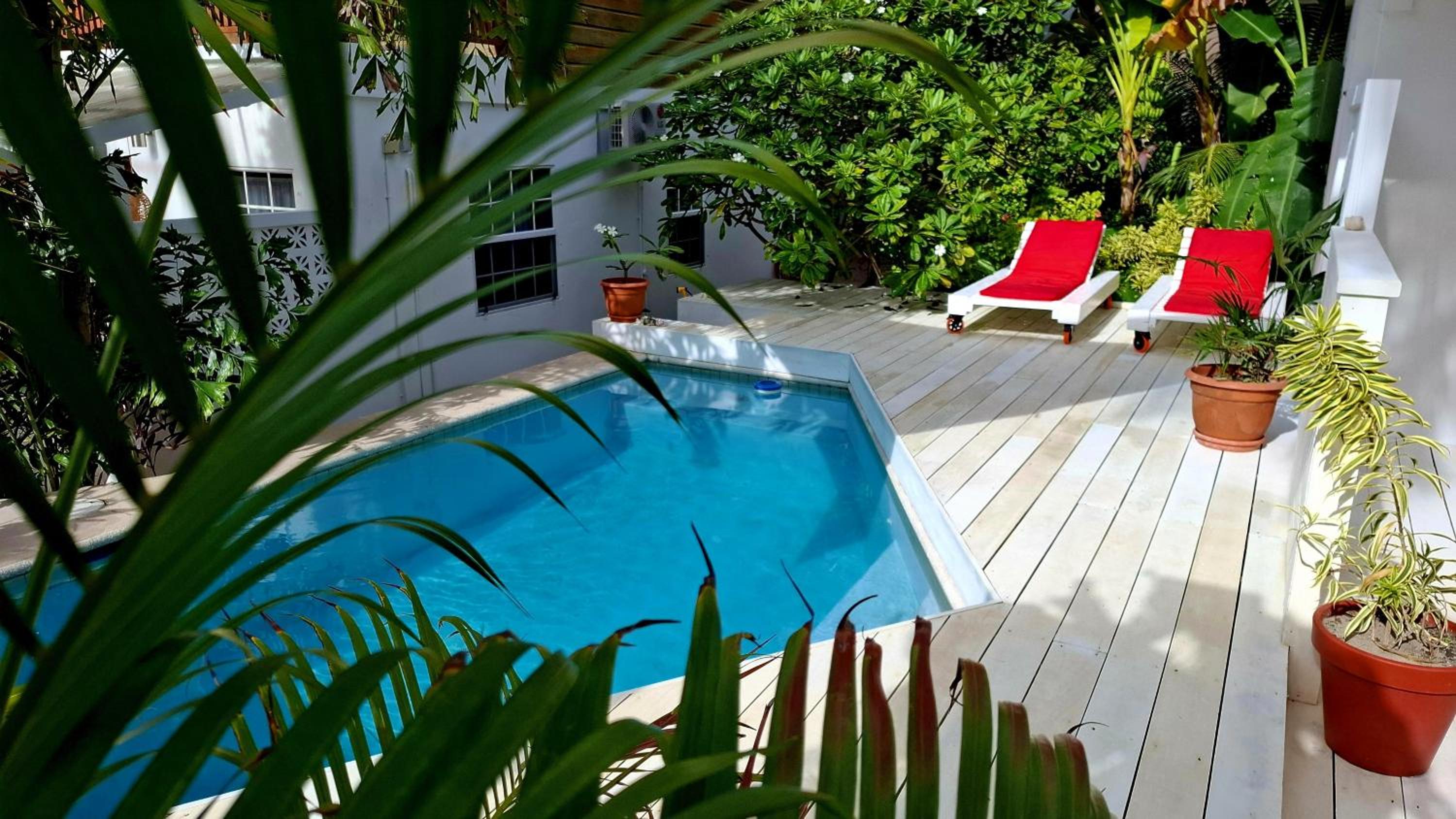 Amanda's Place Casita Carinosa - pool and tropical garden