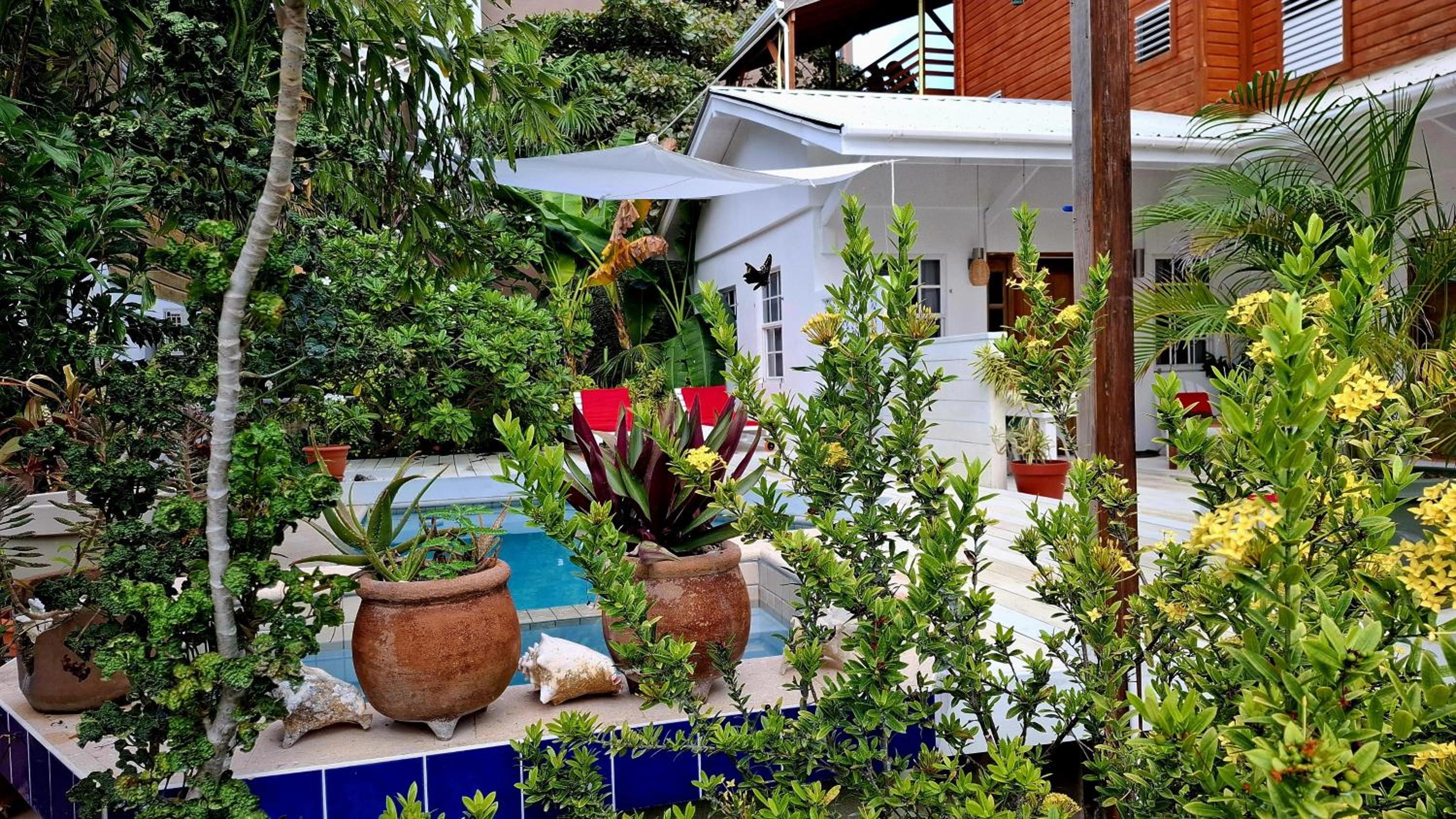 Amanda's Place Casita Carinosa - pool and tropical garden
