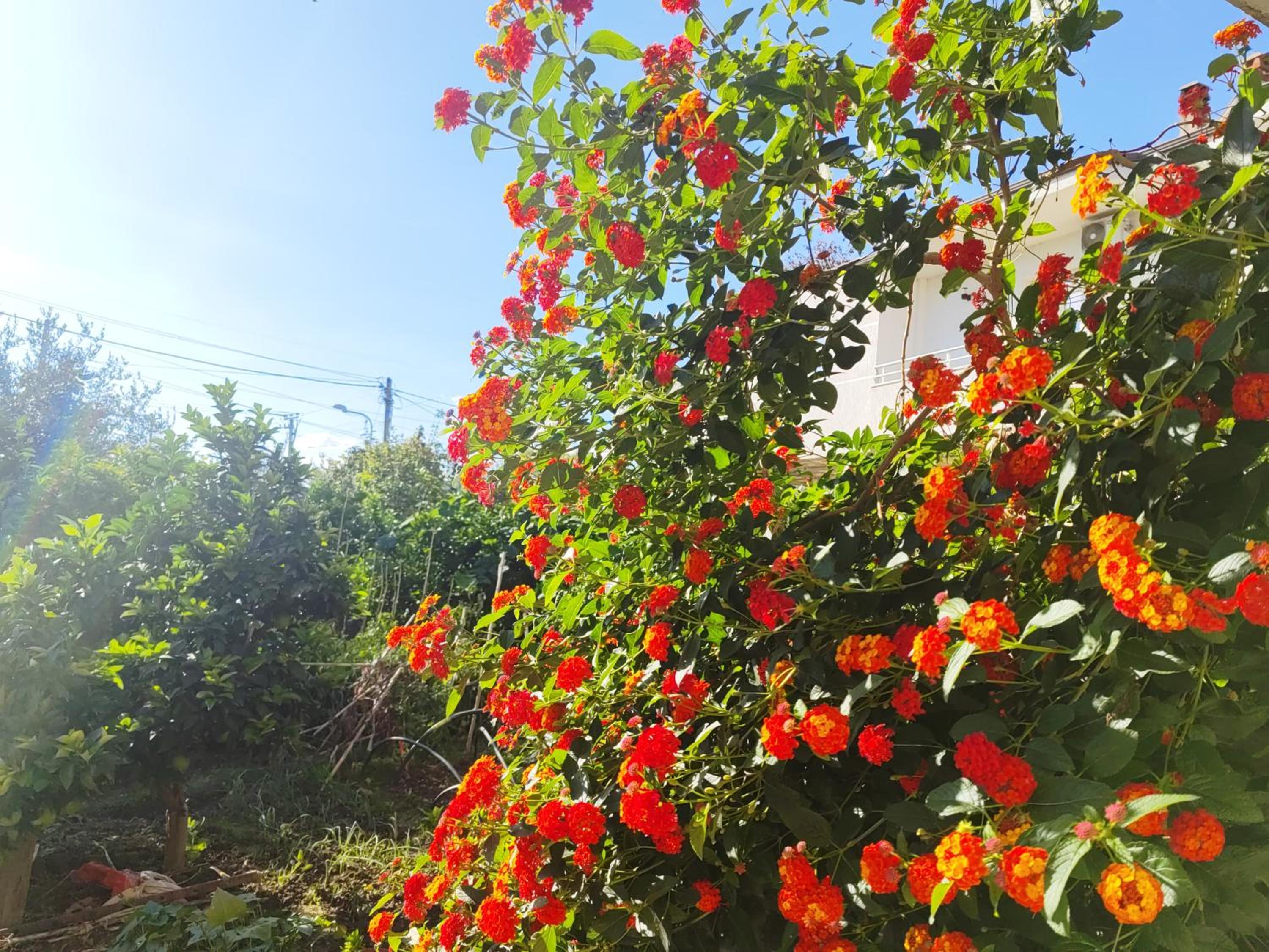 Stone House Hostel Elbasan