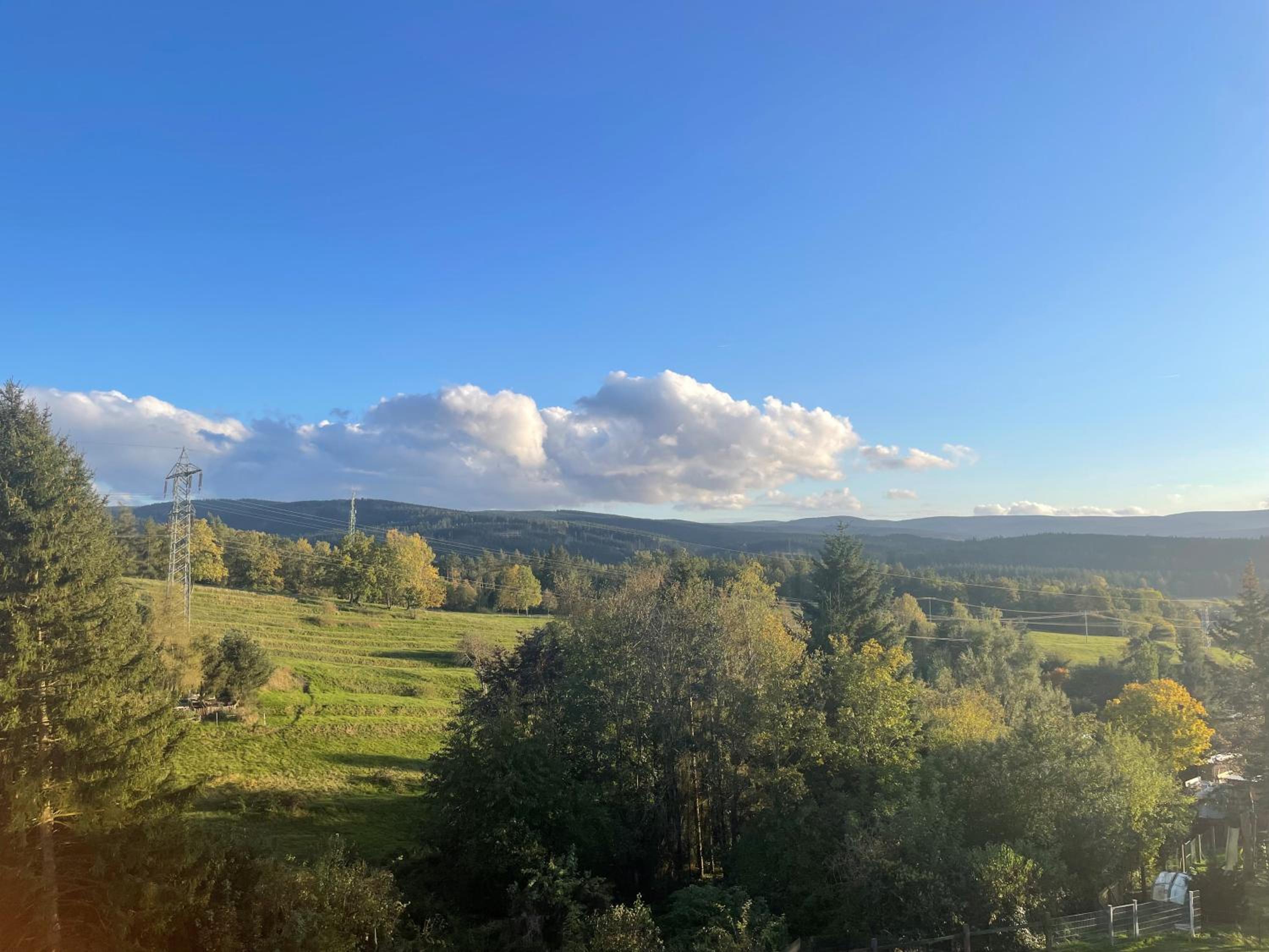 Ferienwohnung im Thüringer Wald
