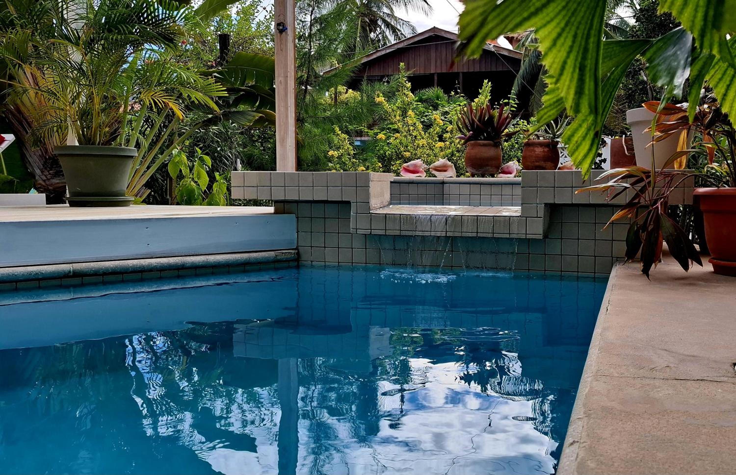Amanda's Place Yellow Studio - Pool and Tropical garden