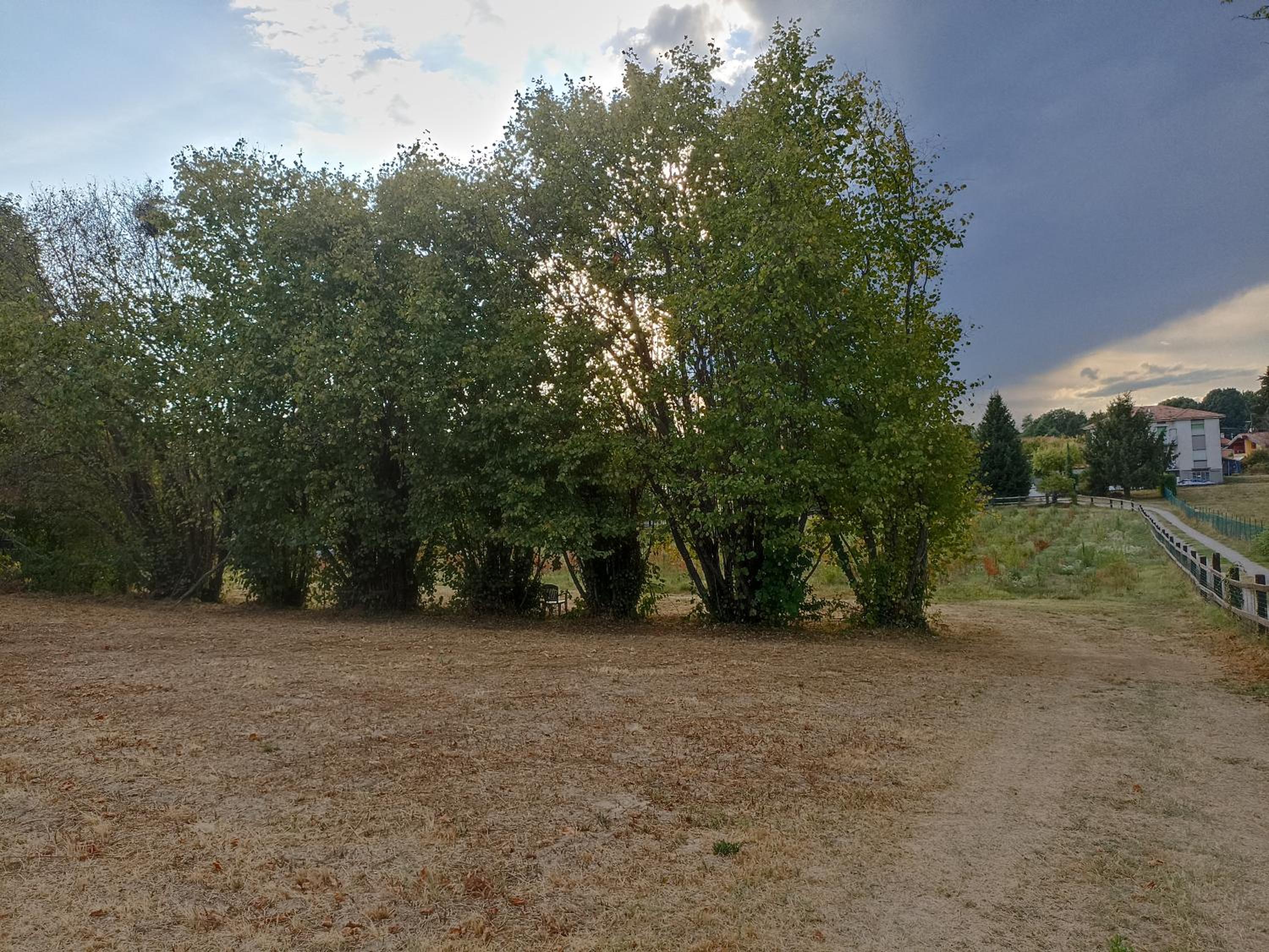 Ca'Lupetta - Laghi e Natura