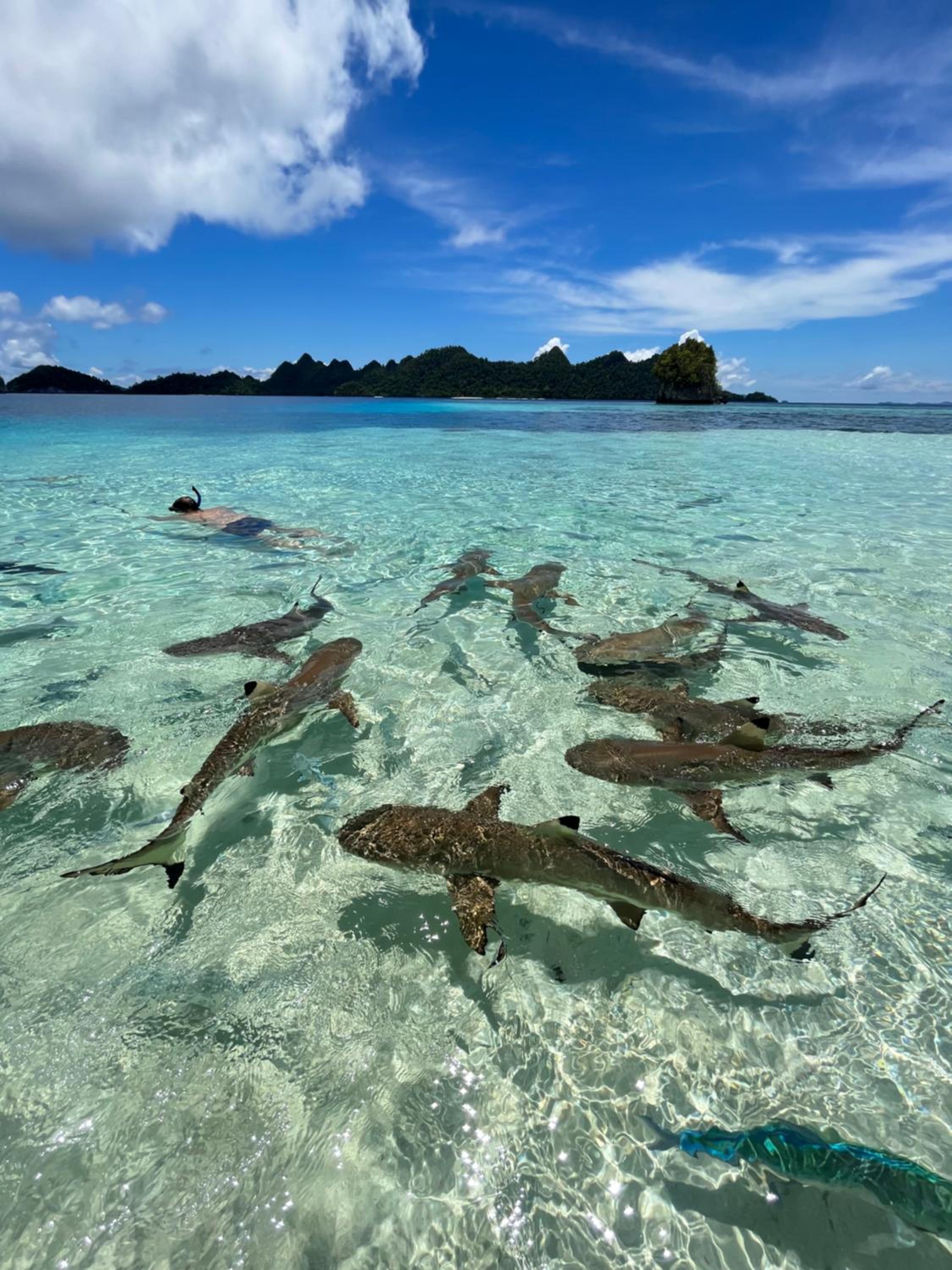 Tamaku homestay privat island