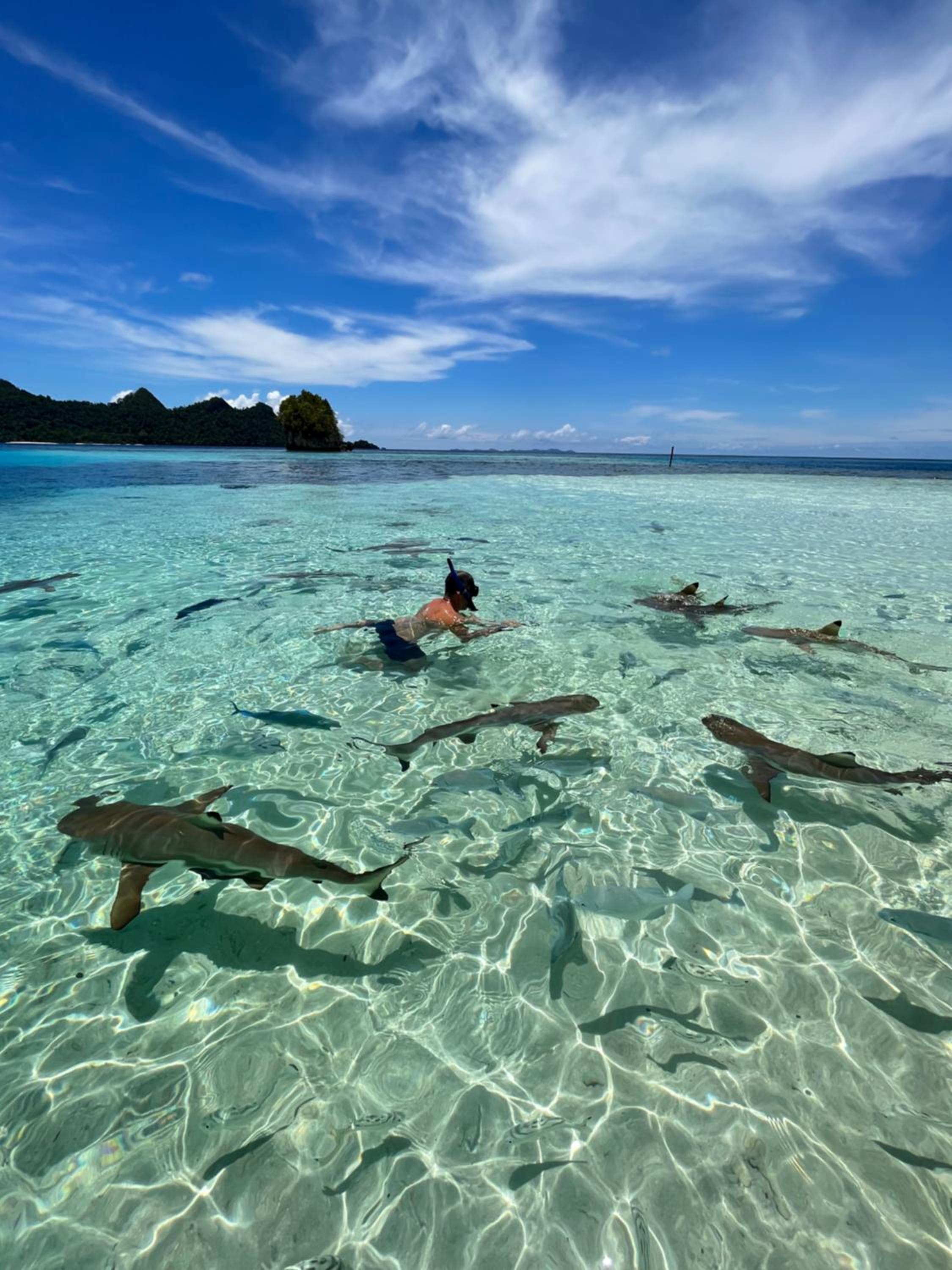 Tamaku homestay privat island