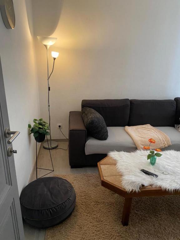 Beautiful Big Apartment in Central Antwerp