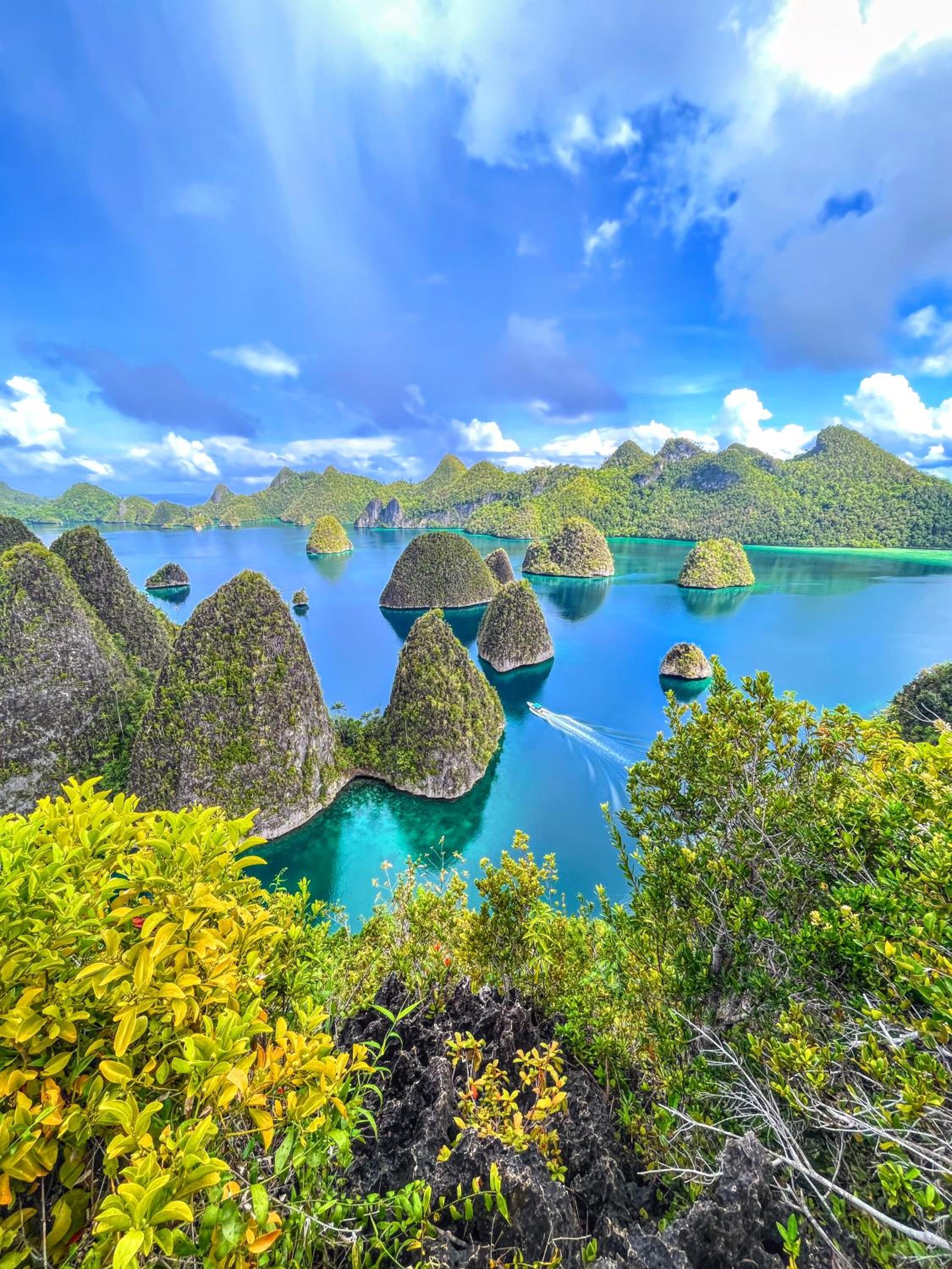 Tamaku homestay privat island