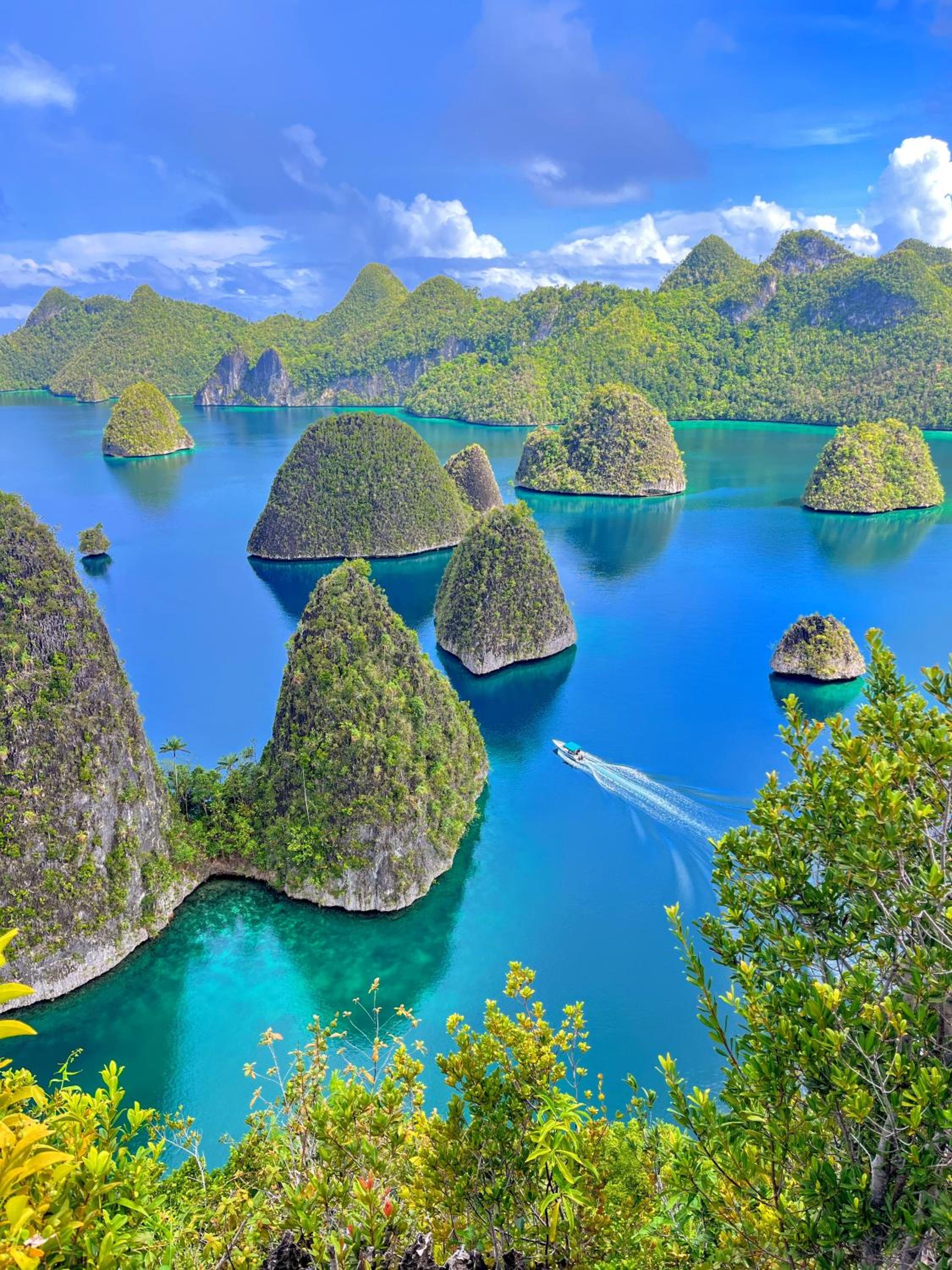 Tamaku homestay privat island