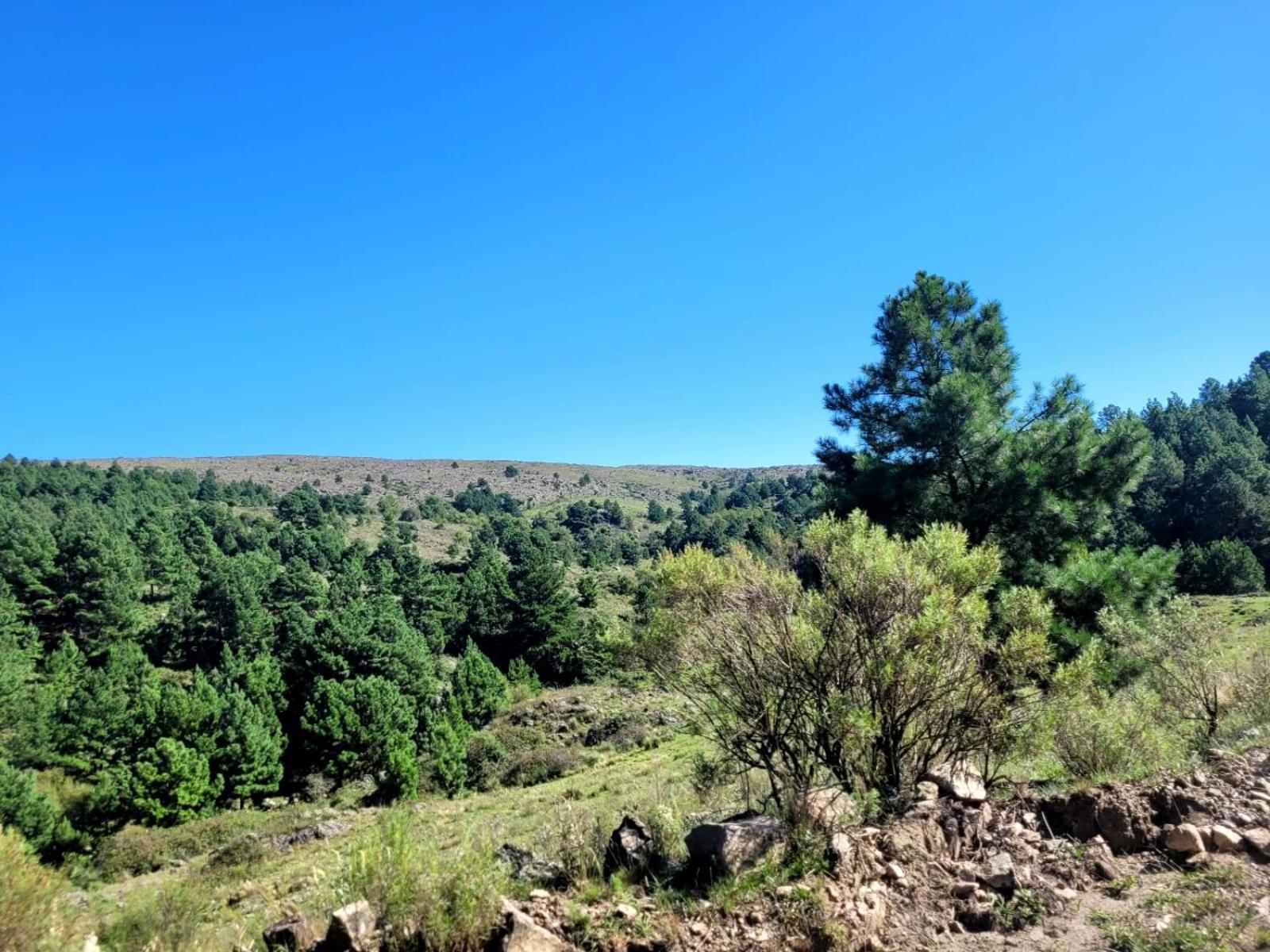 BORDERÍO Cabaña de Montaña