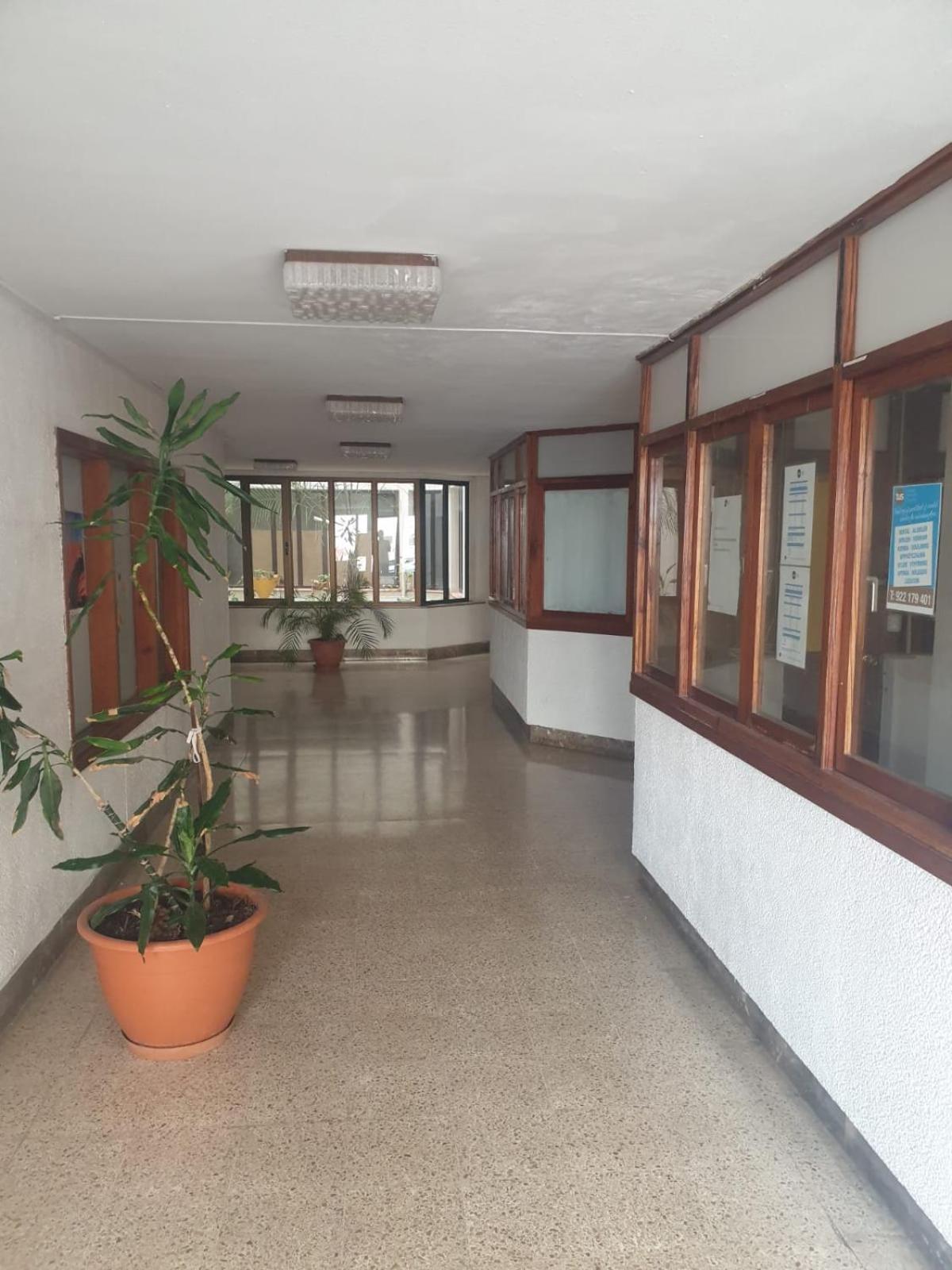 Gold Oasis Apartment
