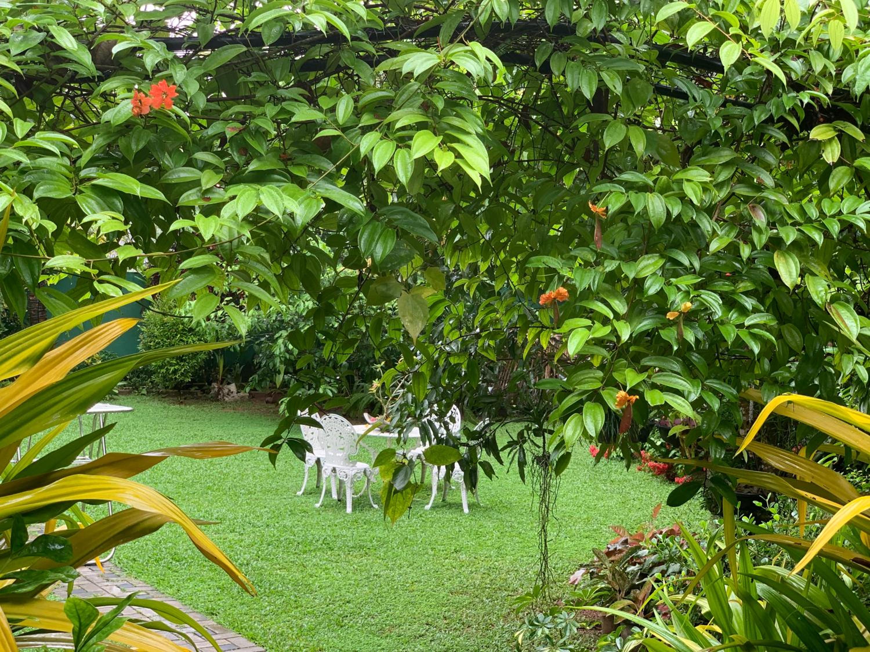 Villa Green