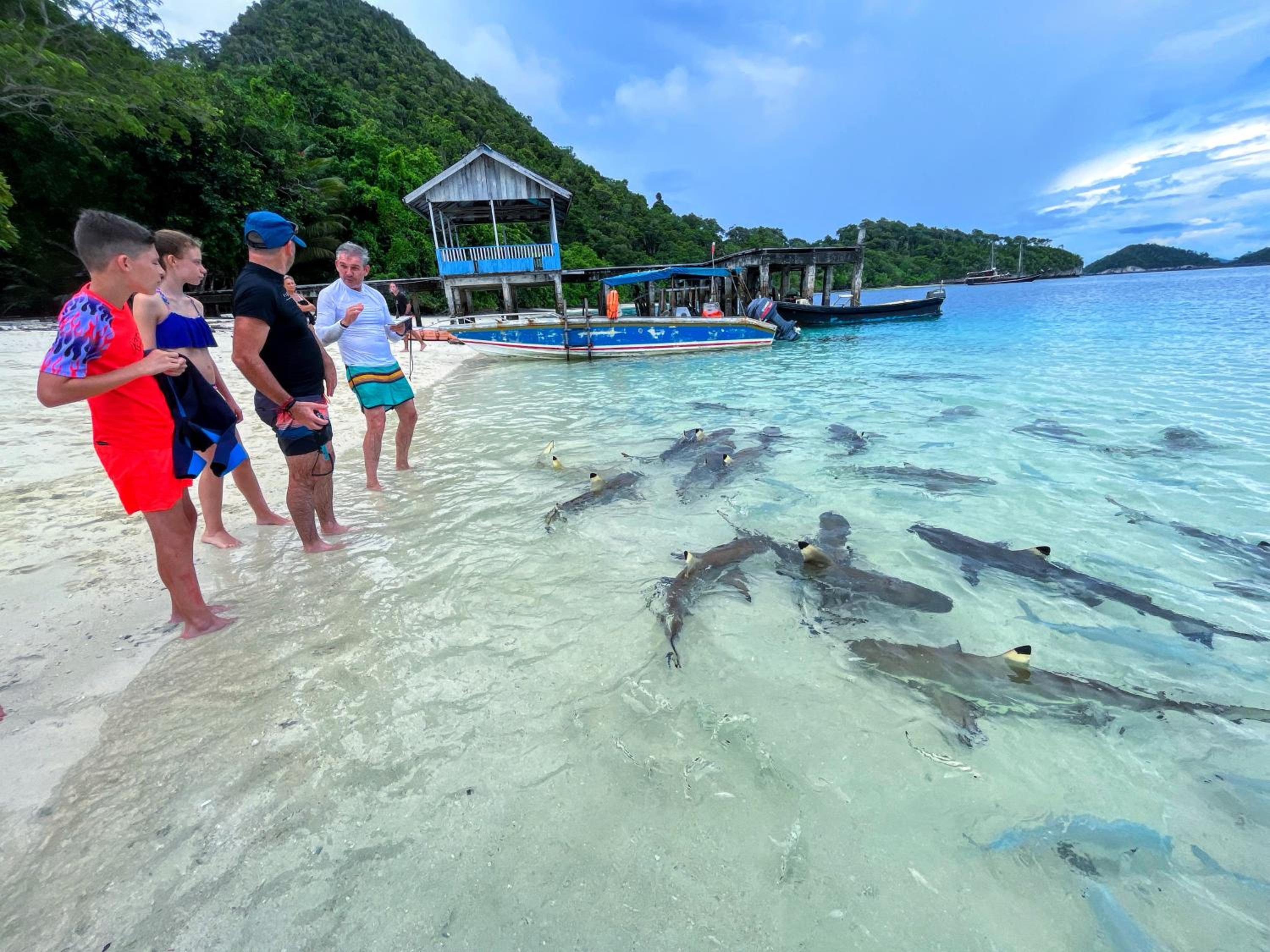 Tamaku homestay privat island