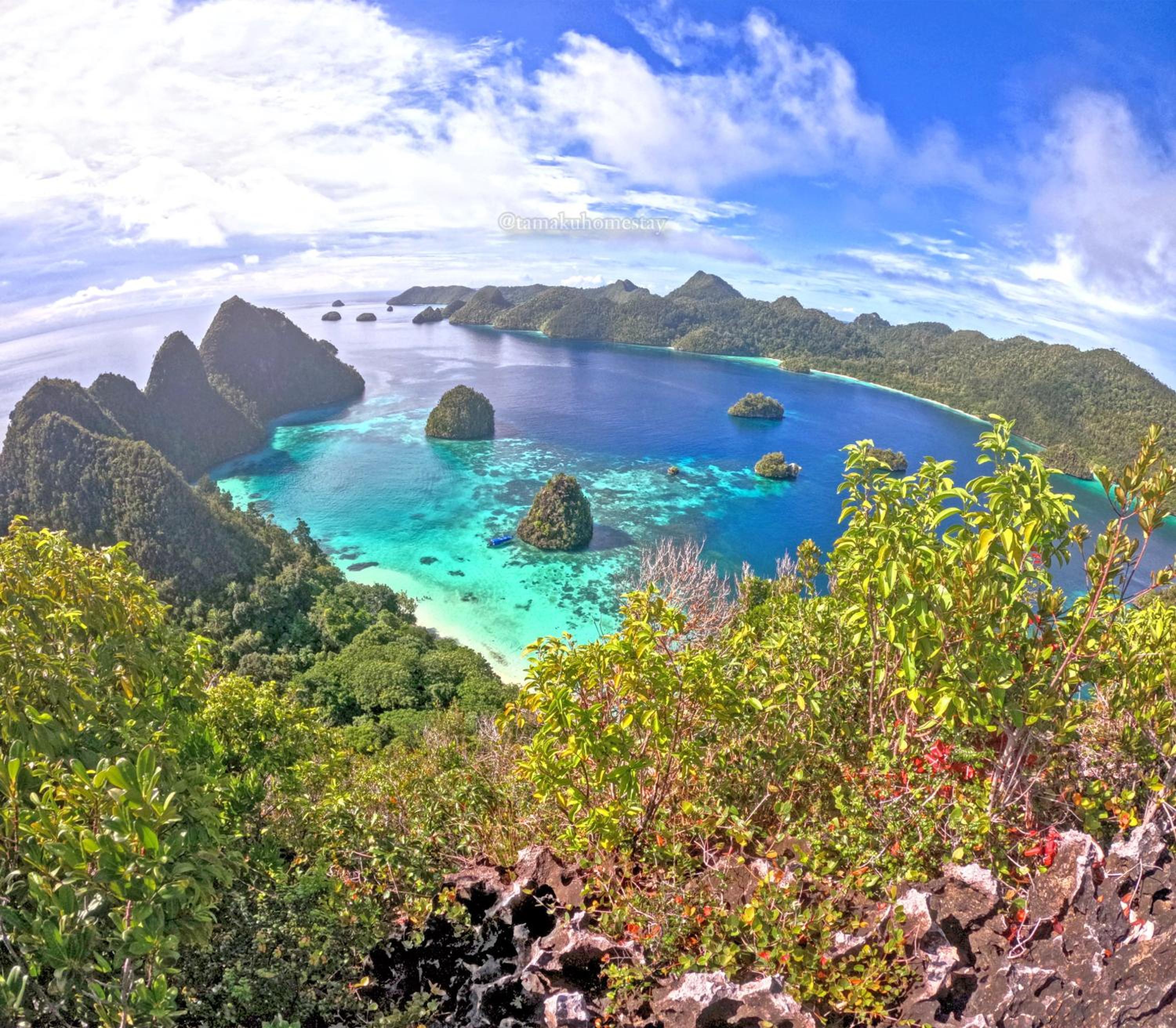 Tamaku homestay privat island