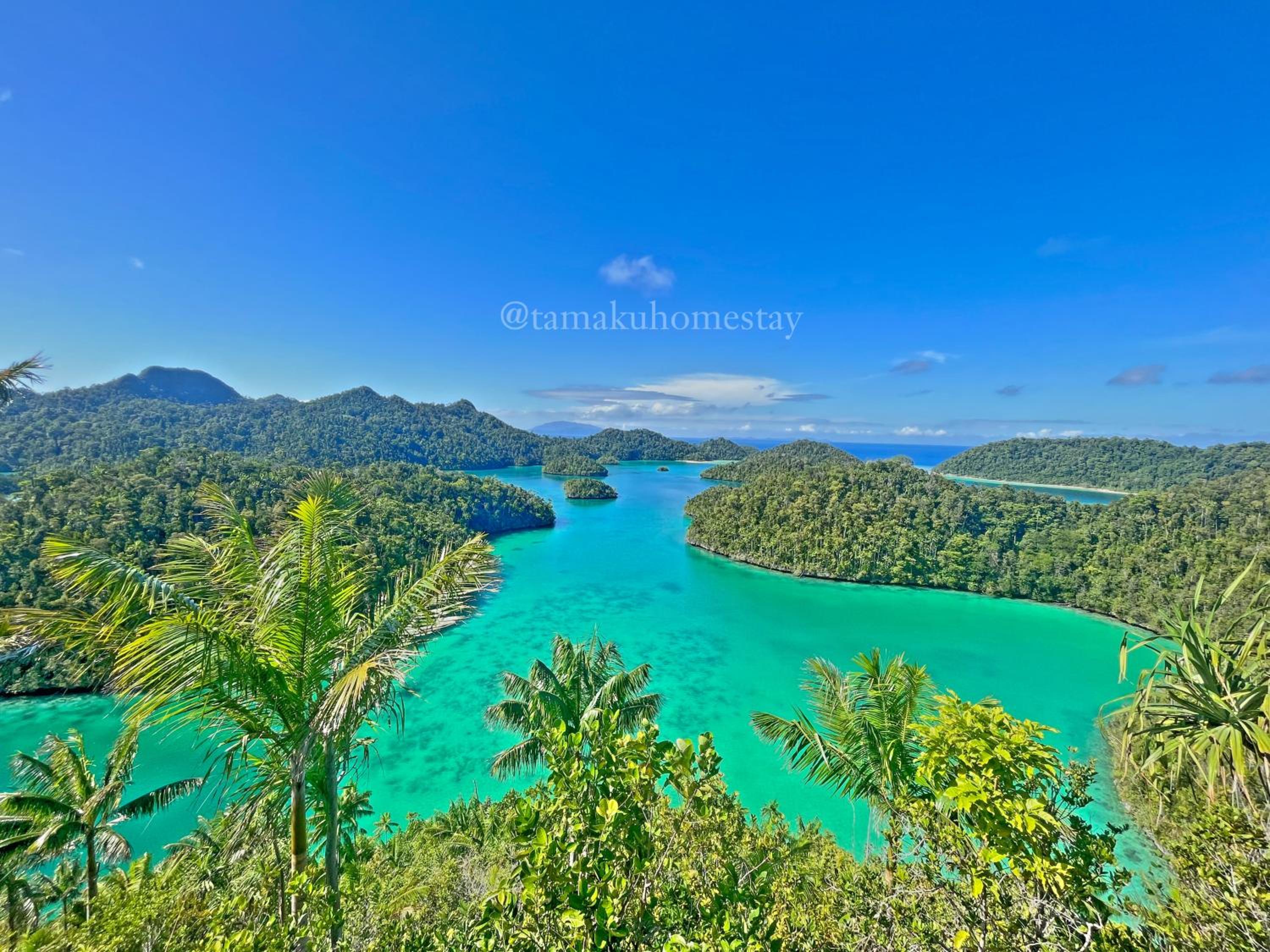 Tamaku homestay privat island