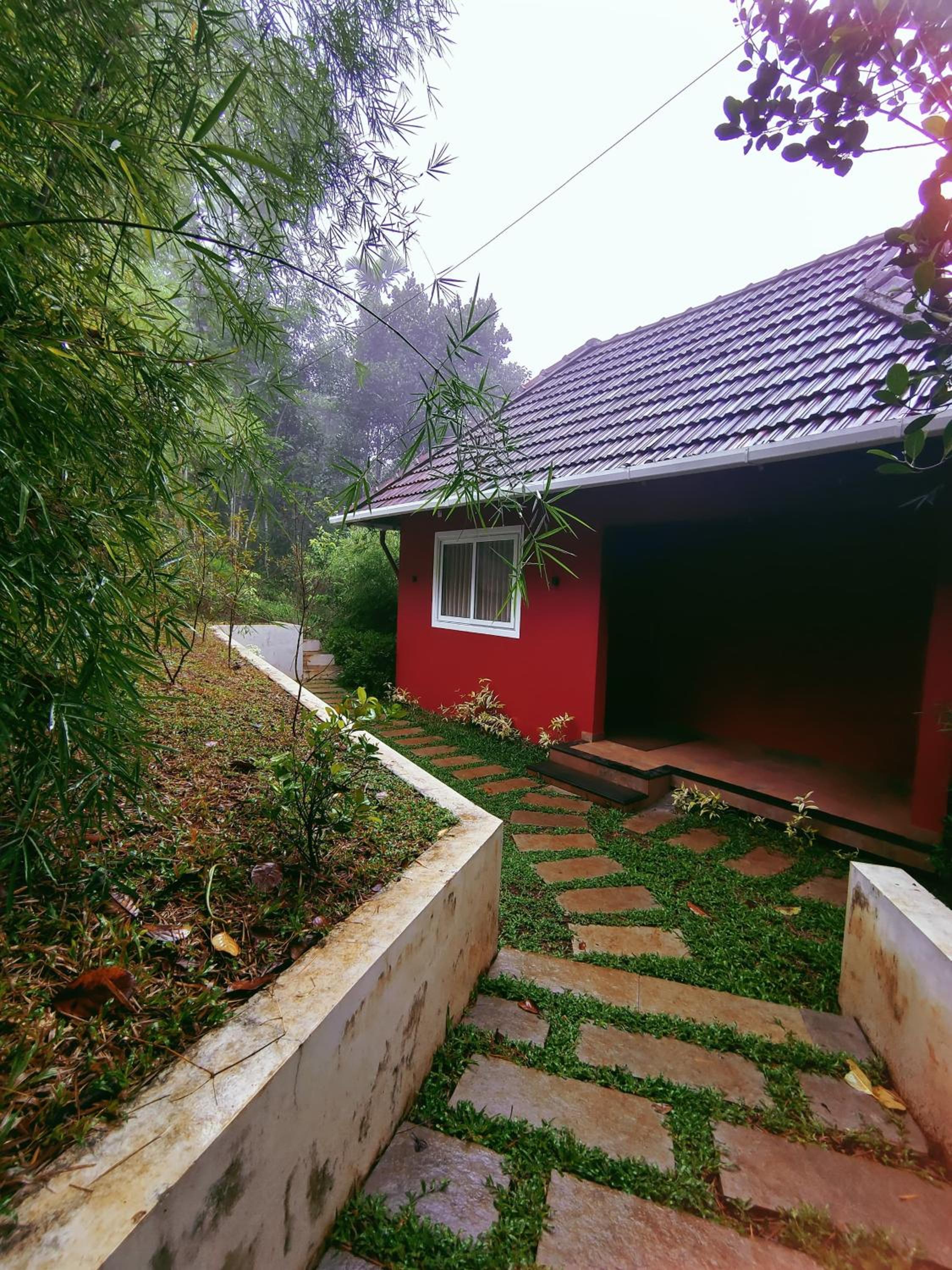 green pepper grove view 5