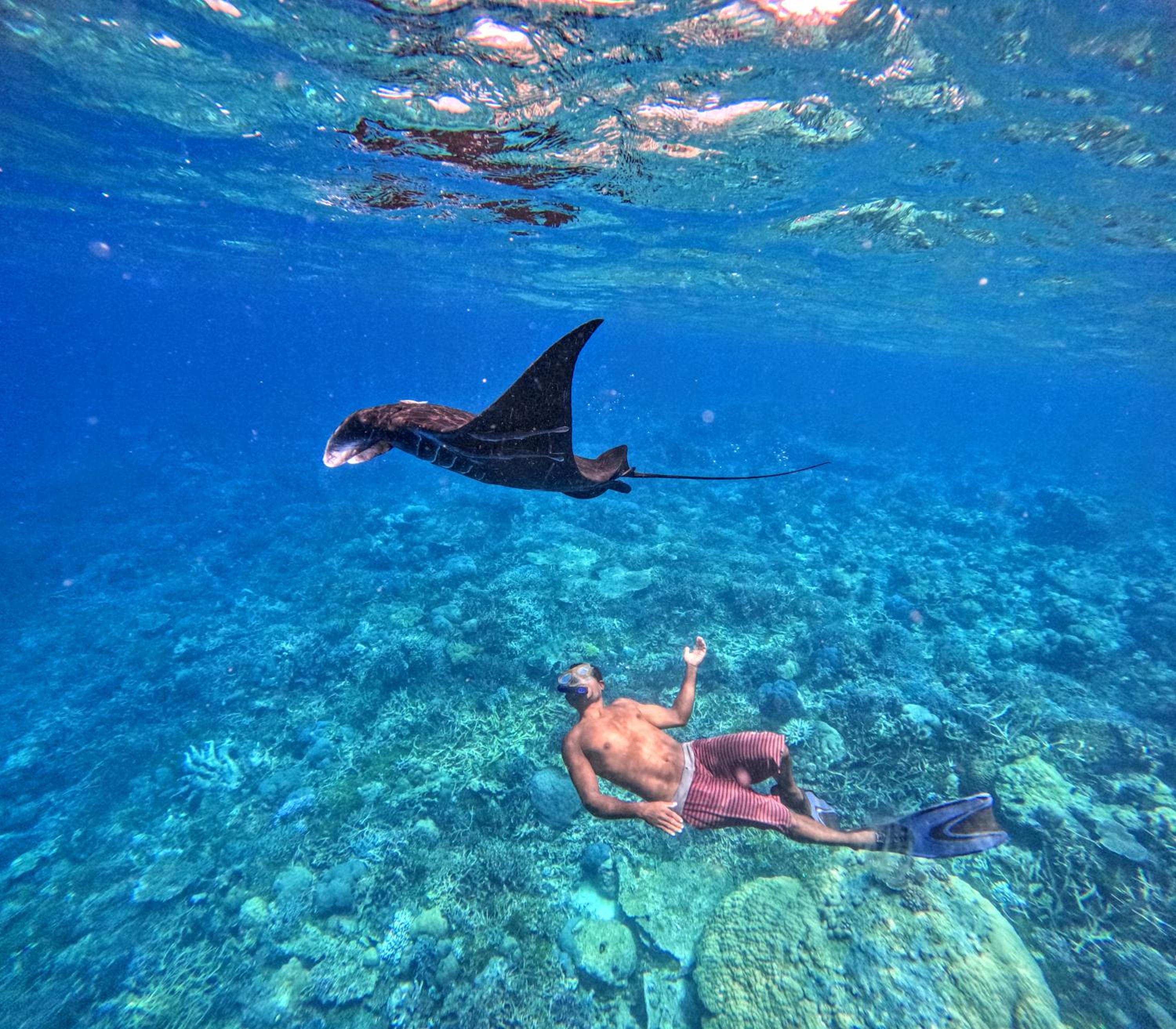 Tamaku homestay privat island