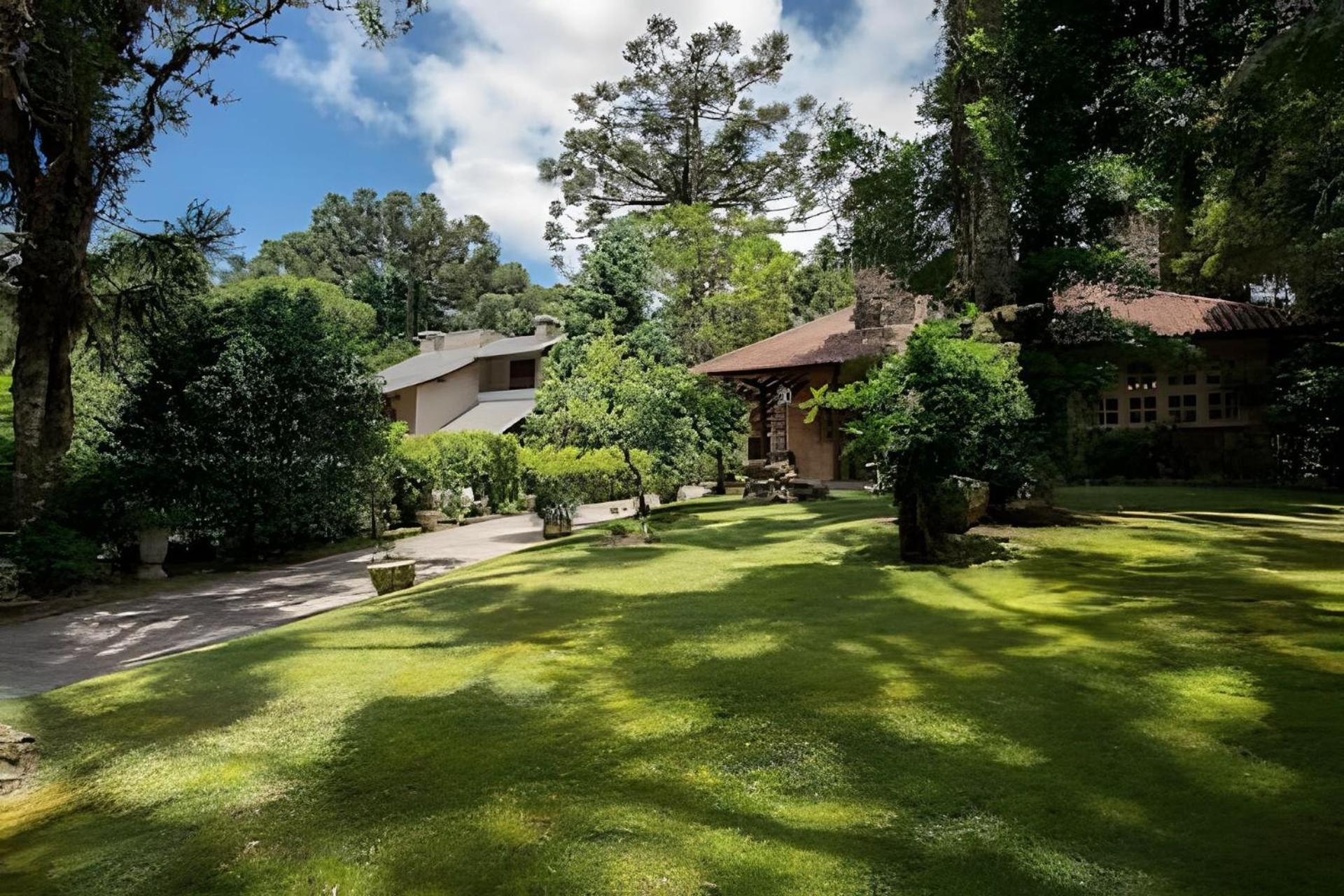 Rosa Casa Jardim da Serra