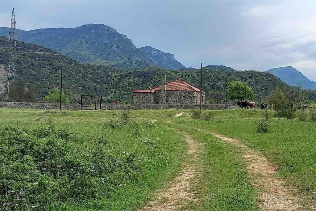 Secluded house Vjosa river