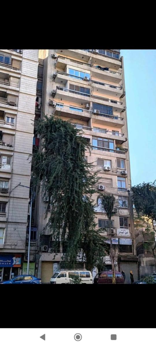 Dokki