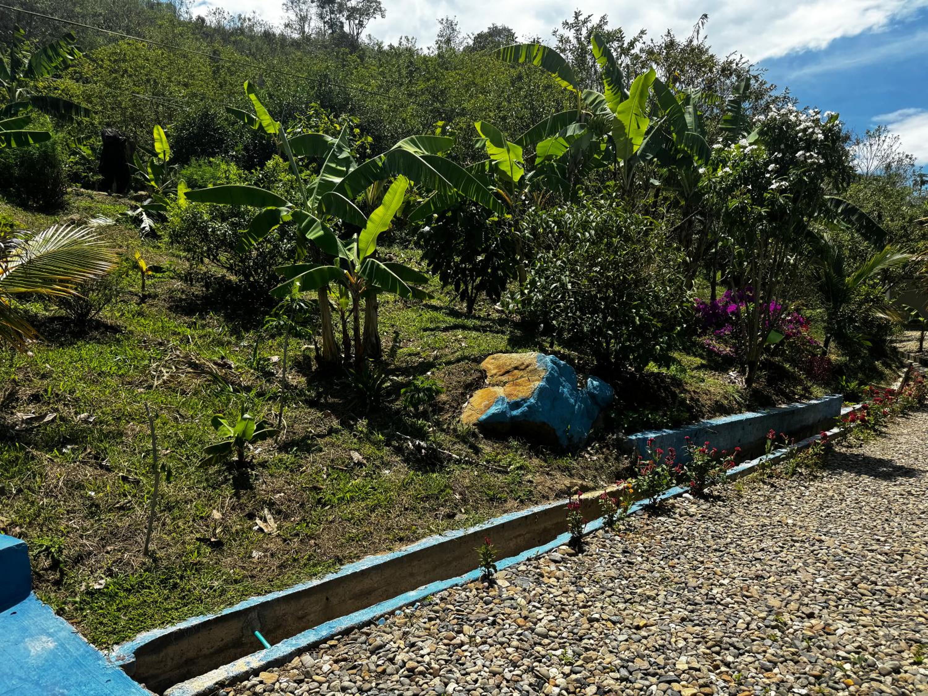 Finca la fortaleza