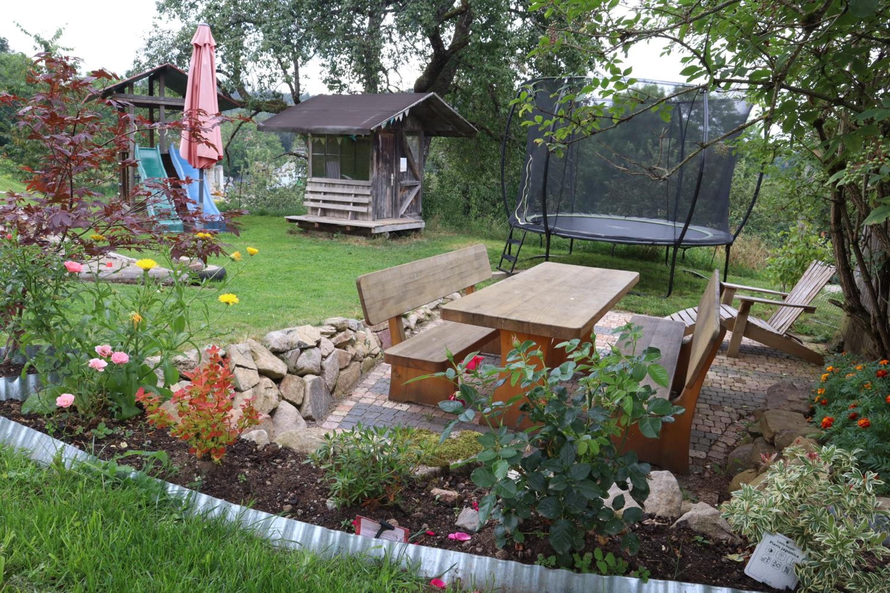 Photo 6