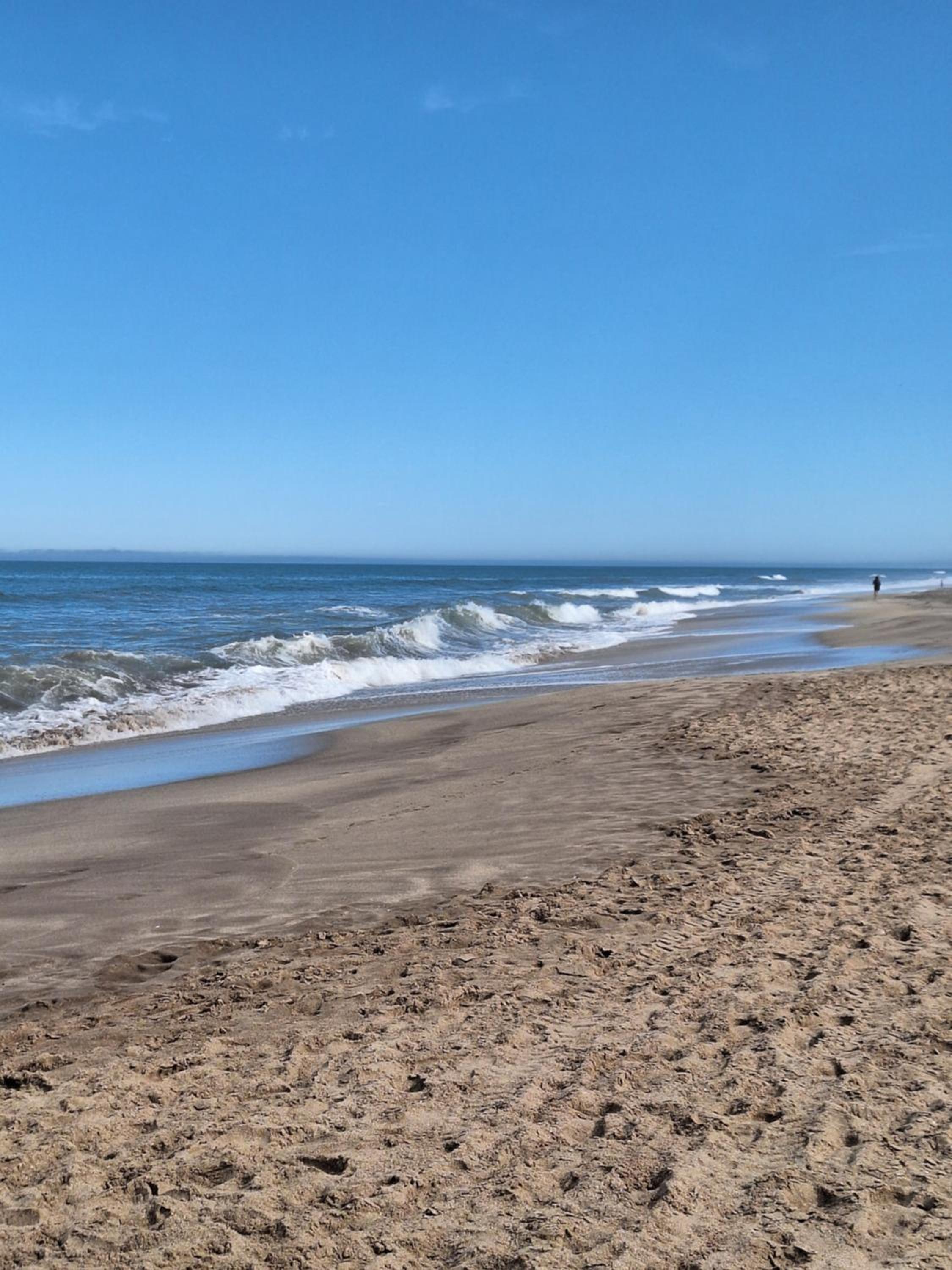 Casa del bosque