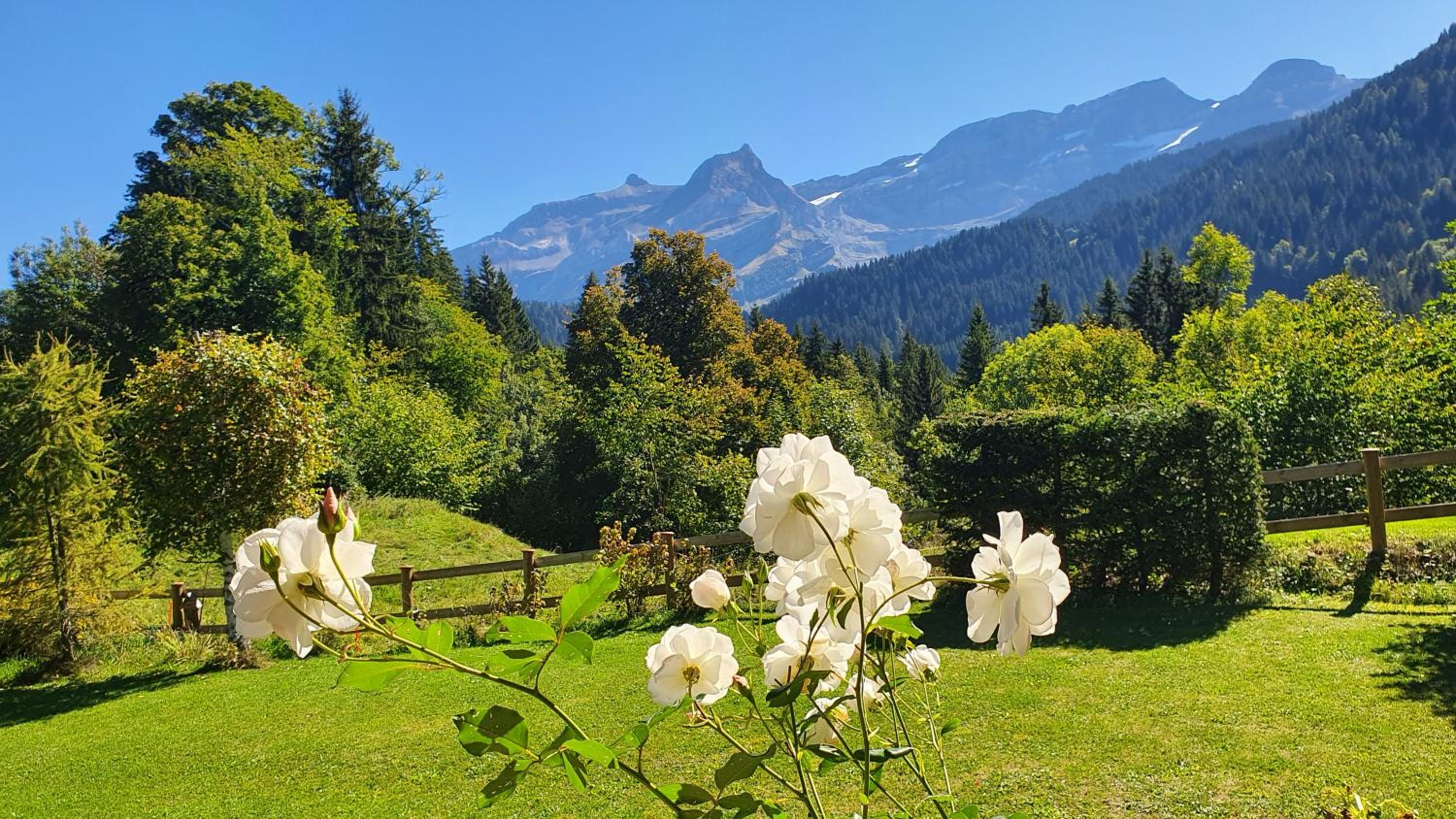 Chalet LA CROISEE-LAVANCHE