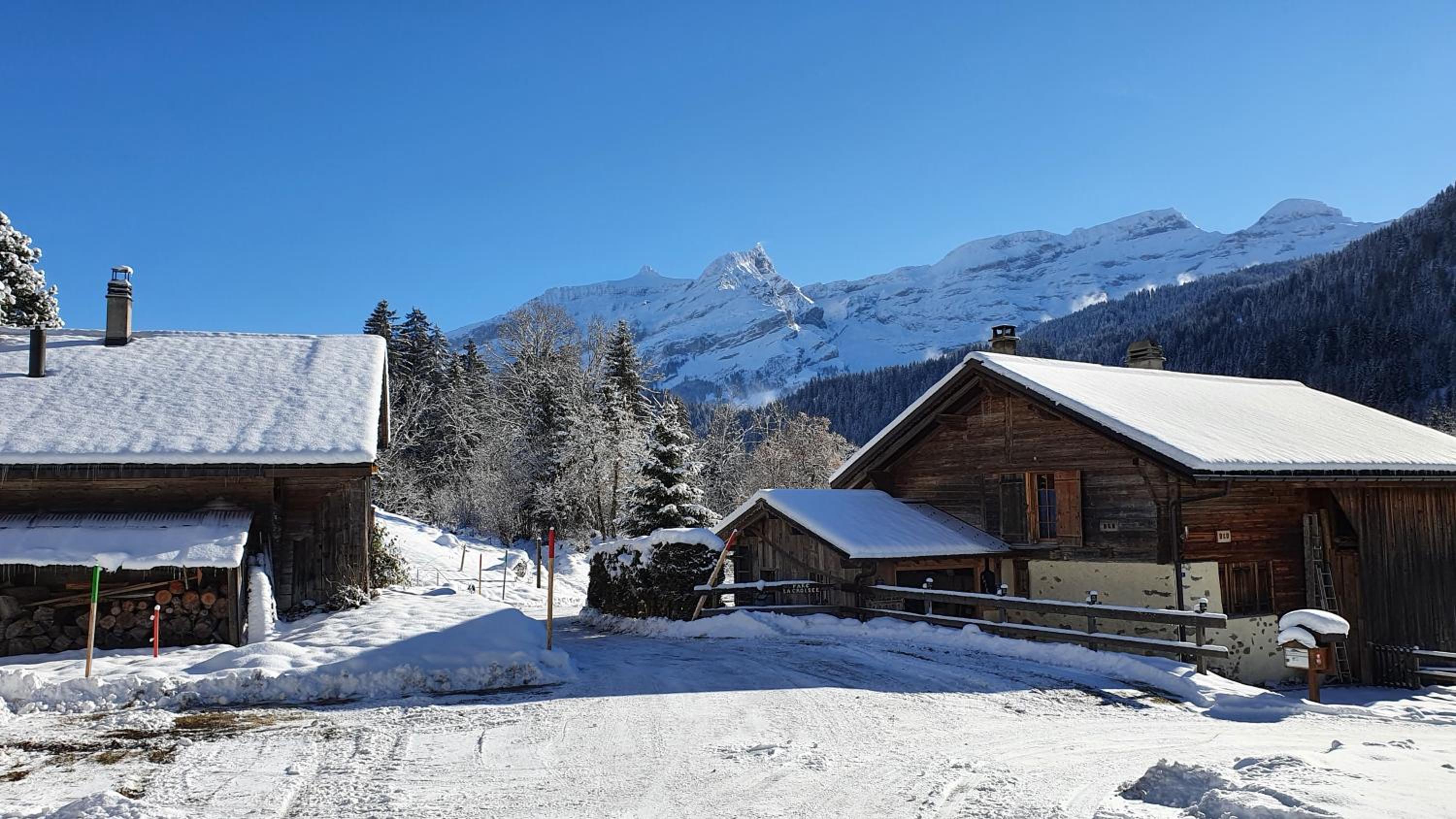 Chalet LA CROISEE-LAVANCHE