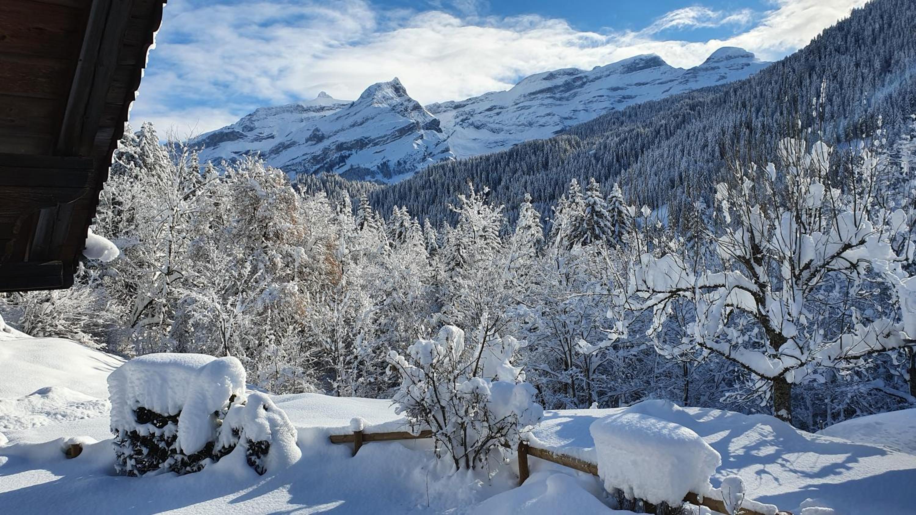 Chalet LA CROISEE-LAVANCHE