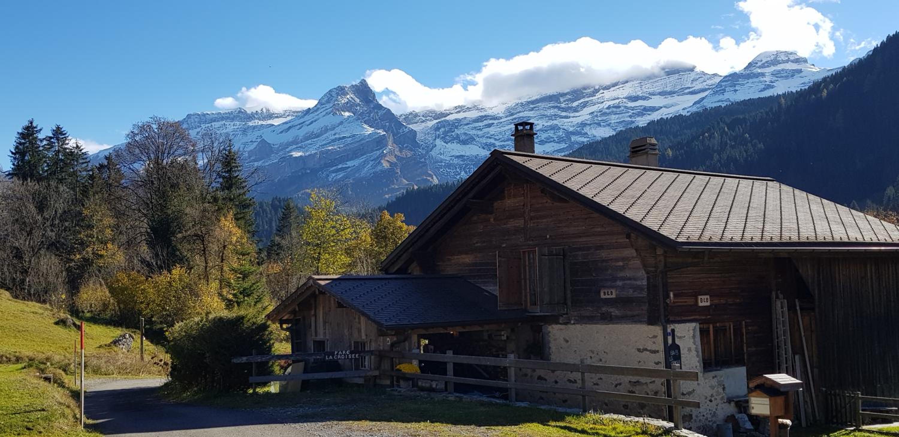 Chalet LA CROISEE-LAVANCHE