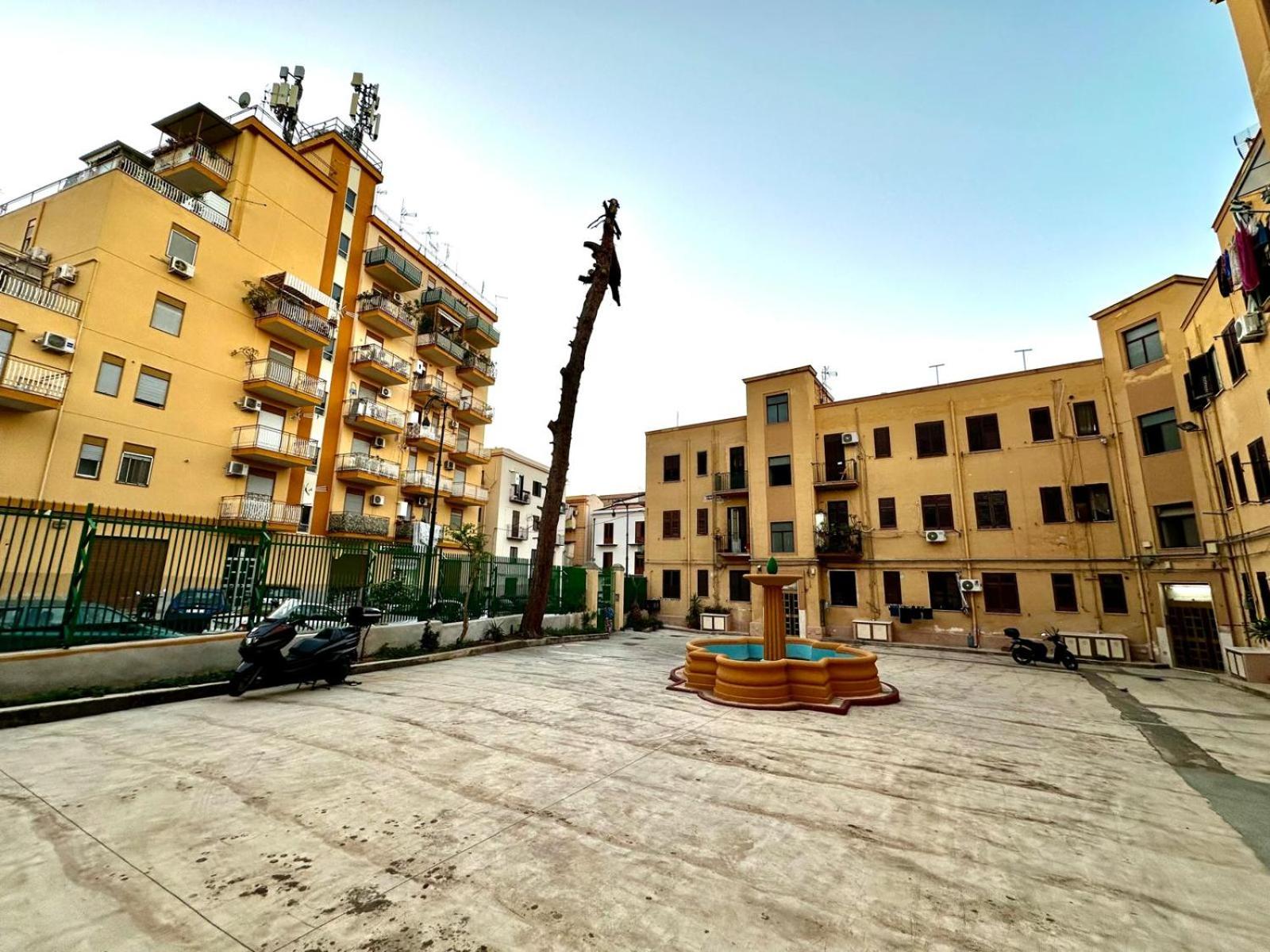 MD APARTAMENT CORAL BAHLARA view 2