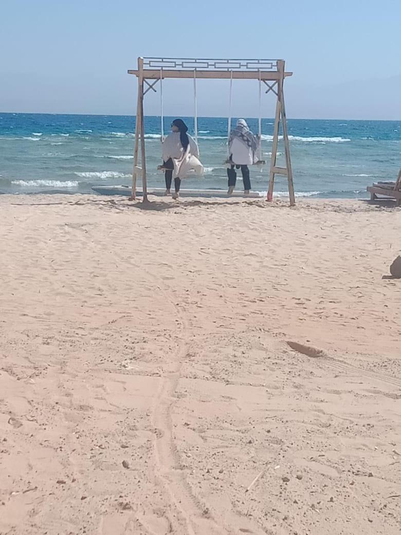 Sayal camp new