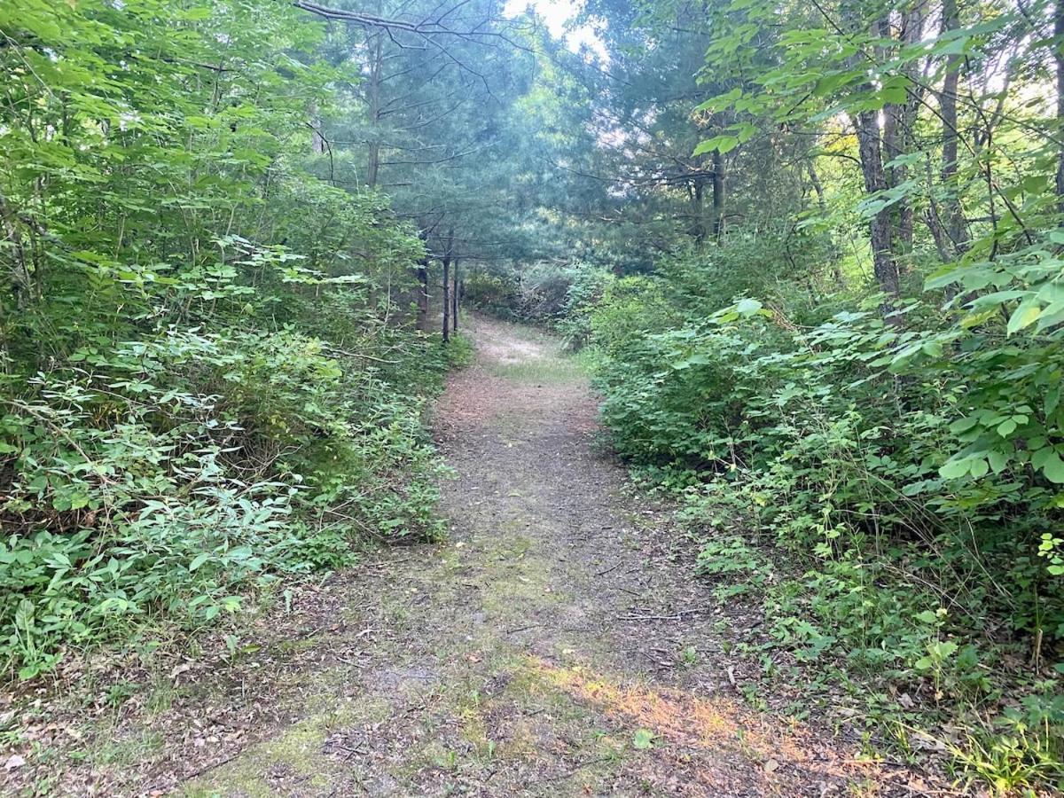 8 Acres on Betsie River River front Trails Disc golf view 3