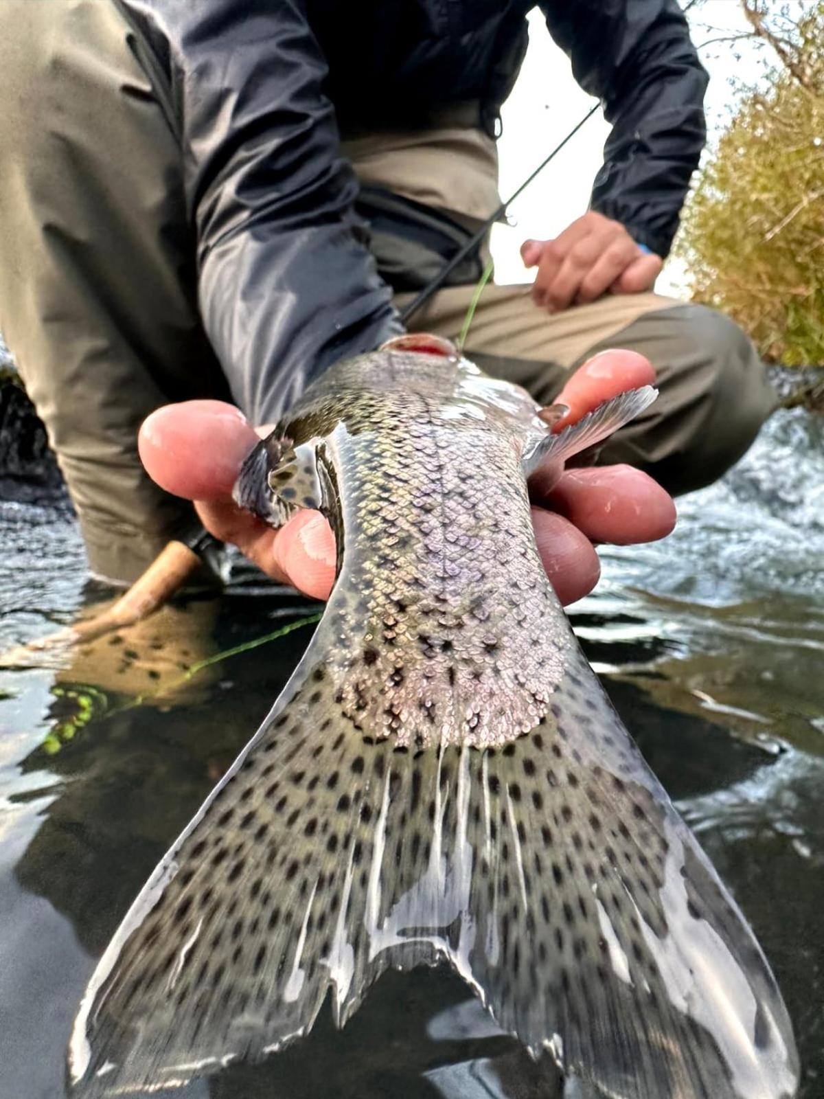 Aka Fishing Lodge