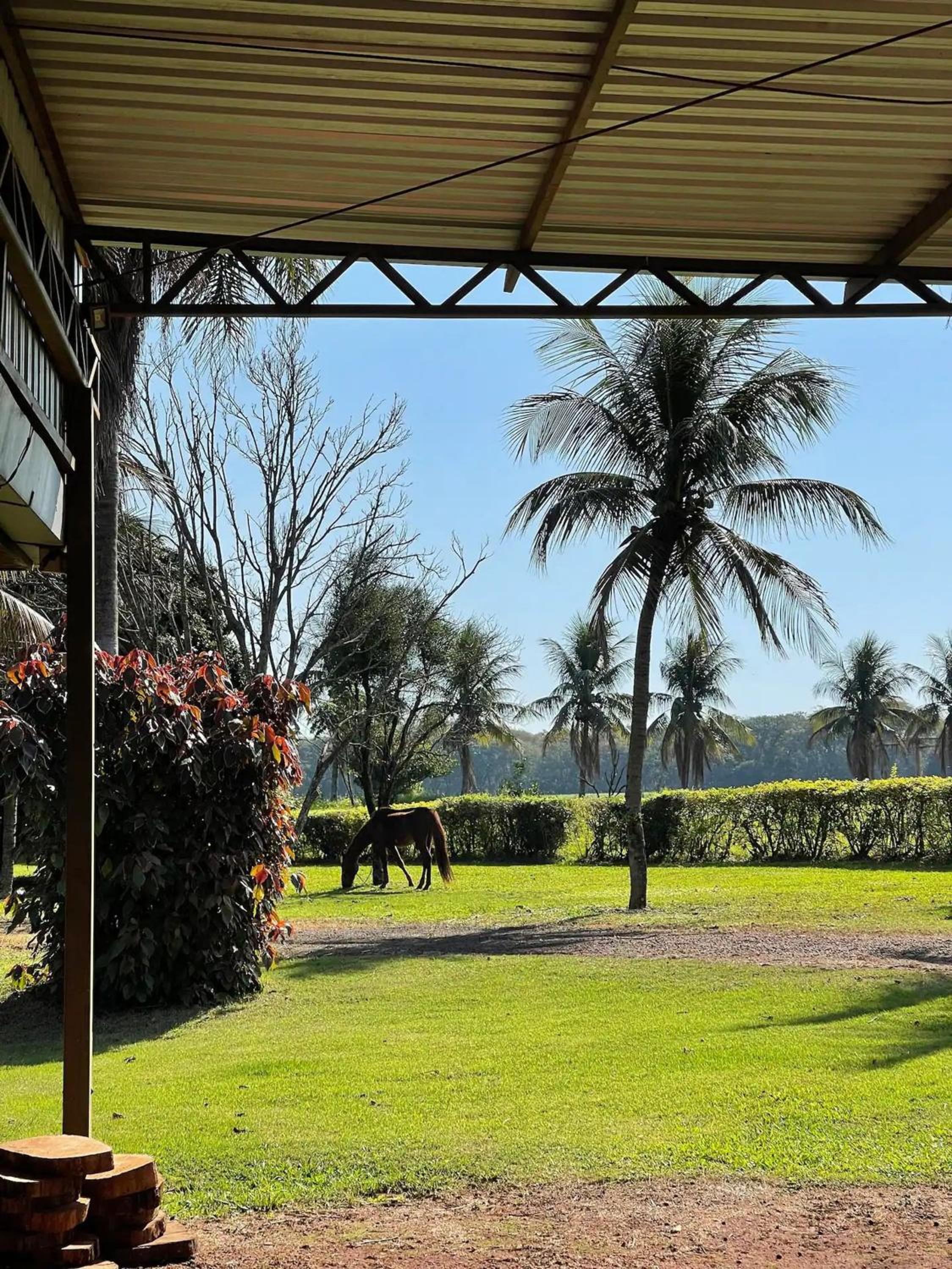 Chalés especiais da Fazenda Itacorá