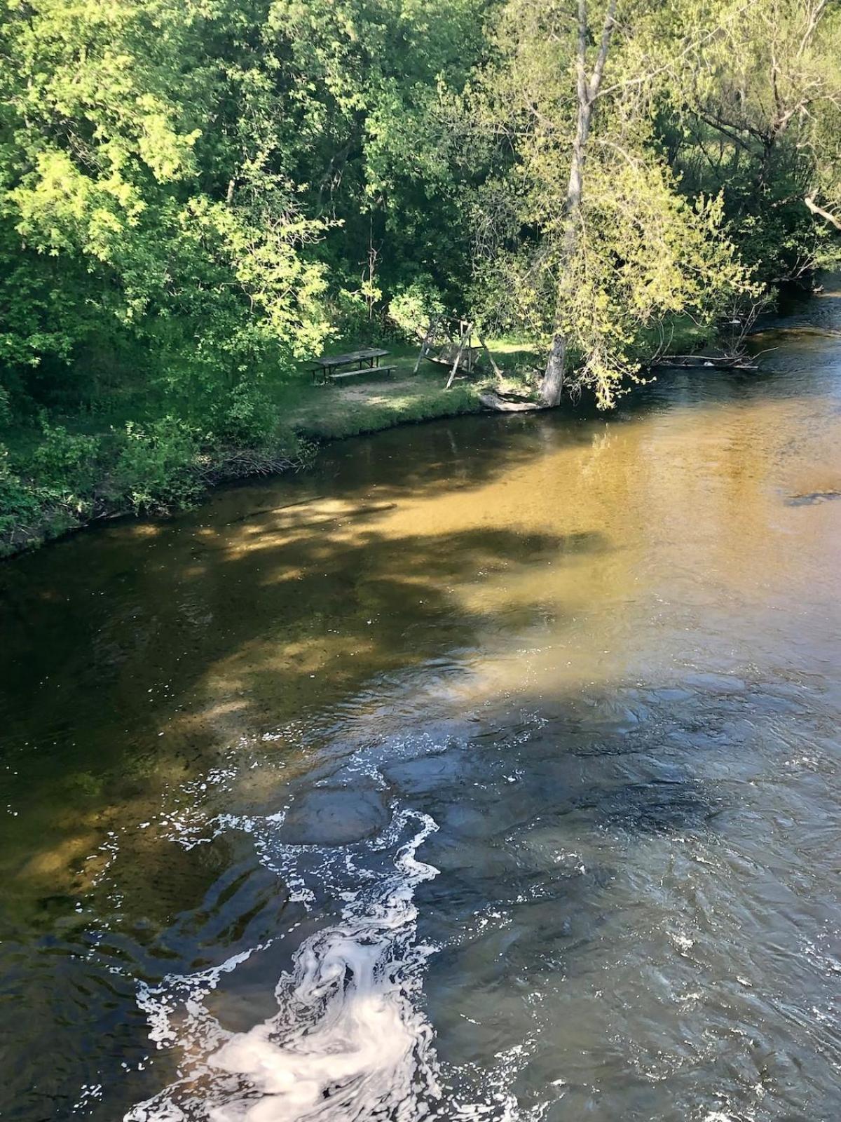 Photo 45