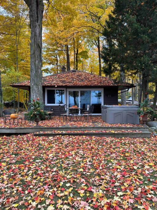 Cozy Lakefront Cabin