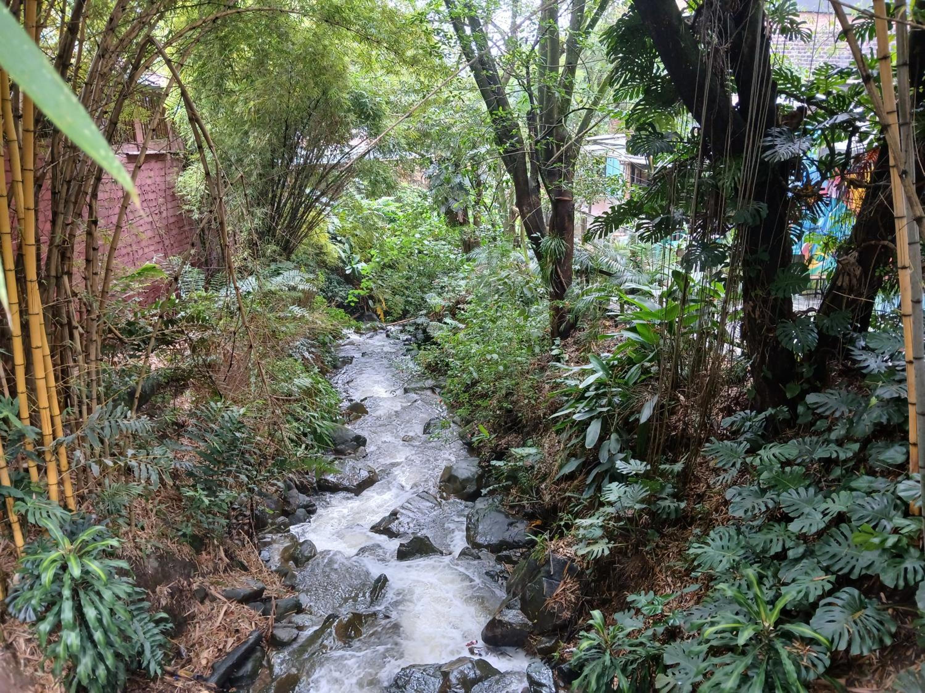Yolo Hostel Medellin