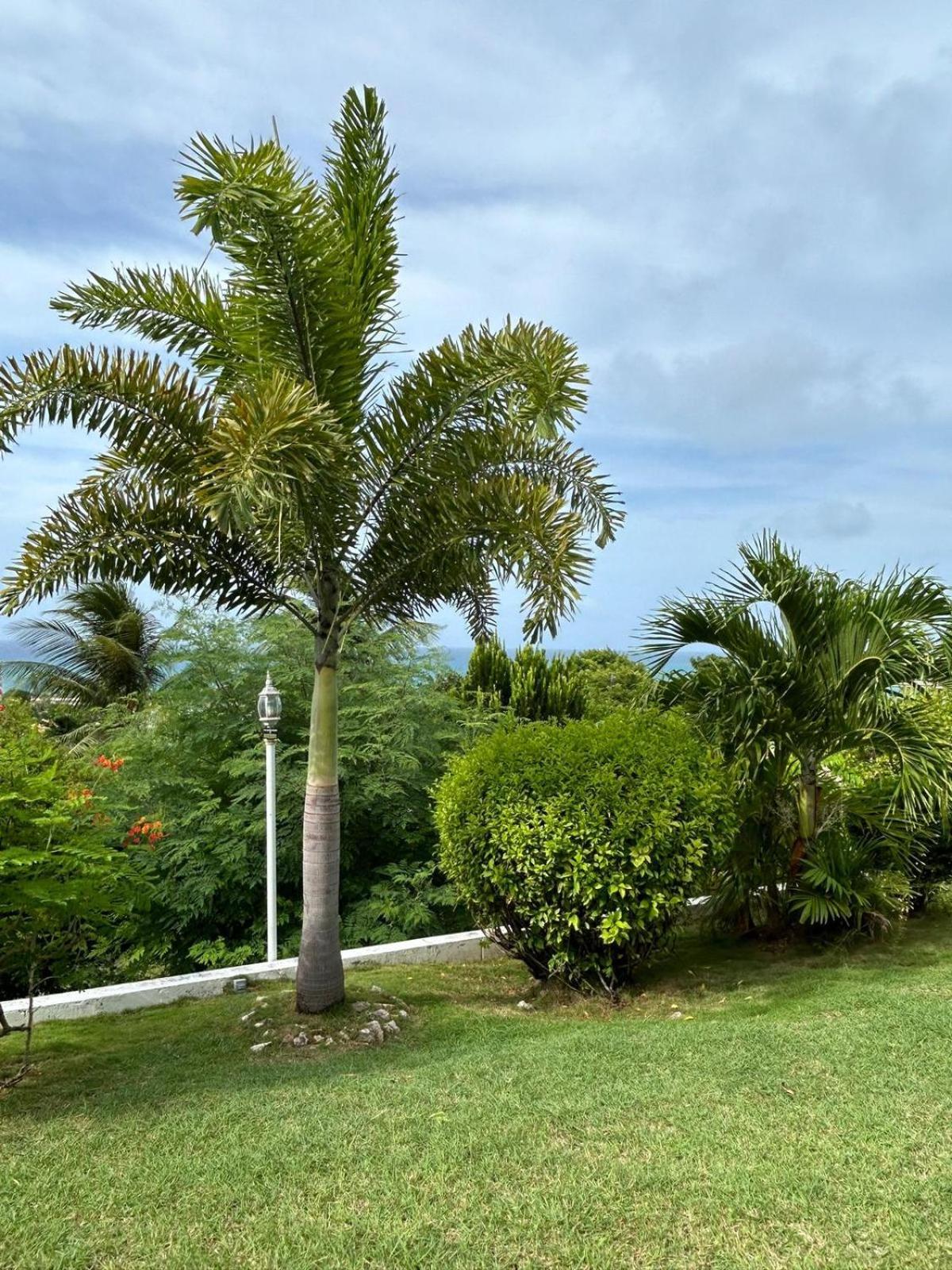 LaBelleVue Antigua Oceanview Suites and OnSite Car Rentals