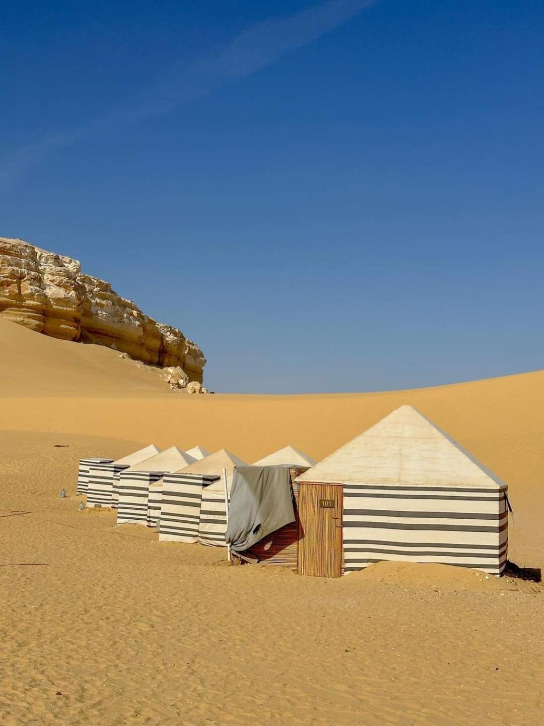 Qusoor elarab Camp