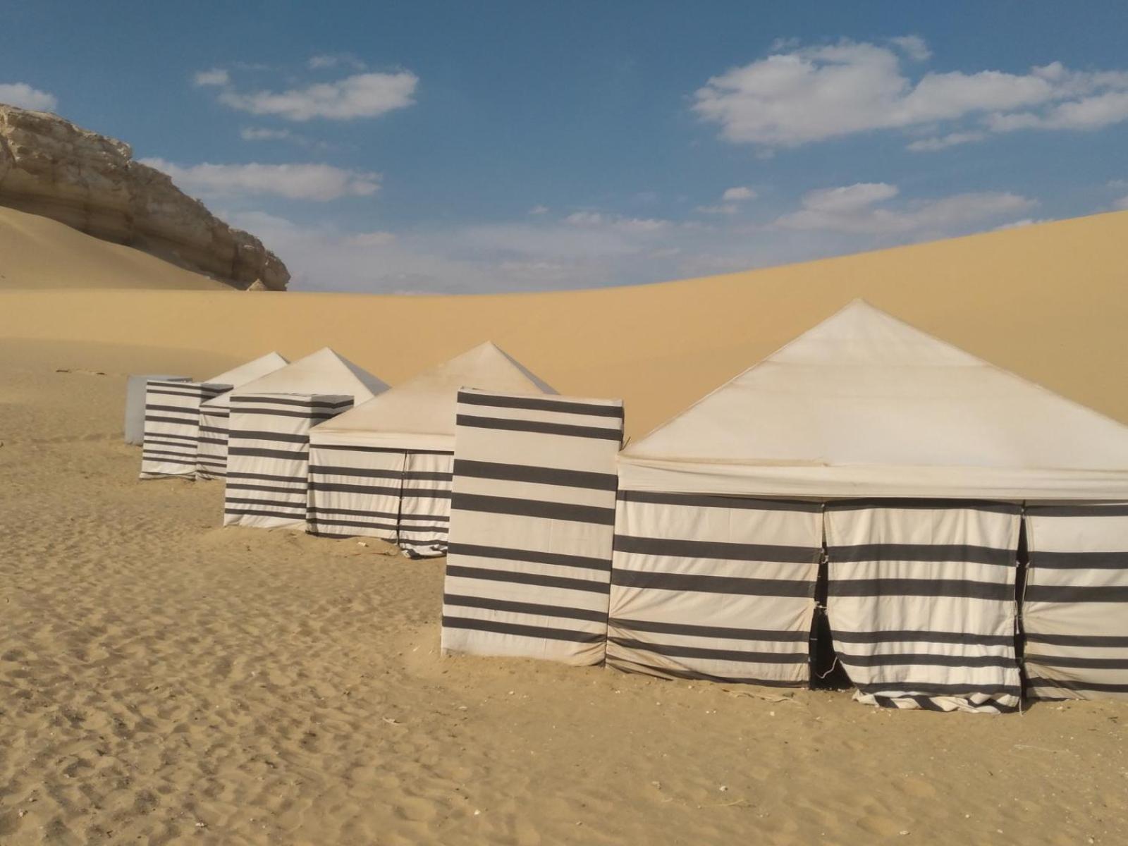 Qusoor elarab Camp