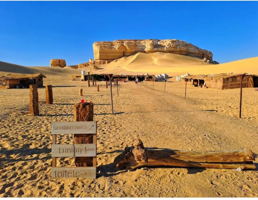 Qusoor elarab Camp