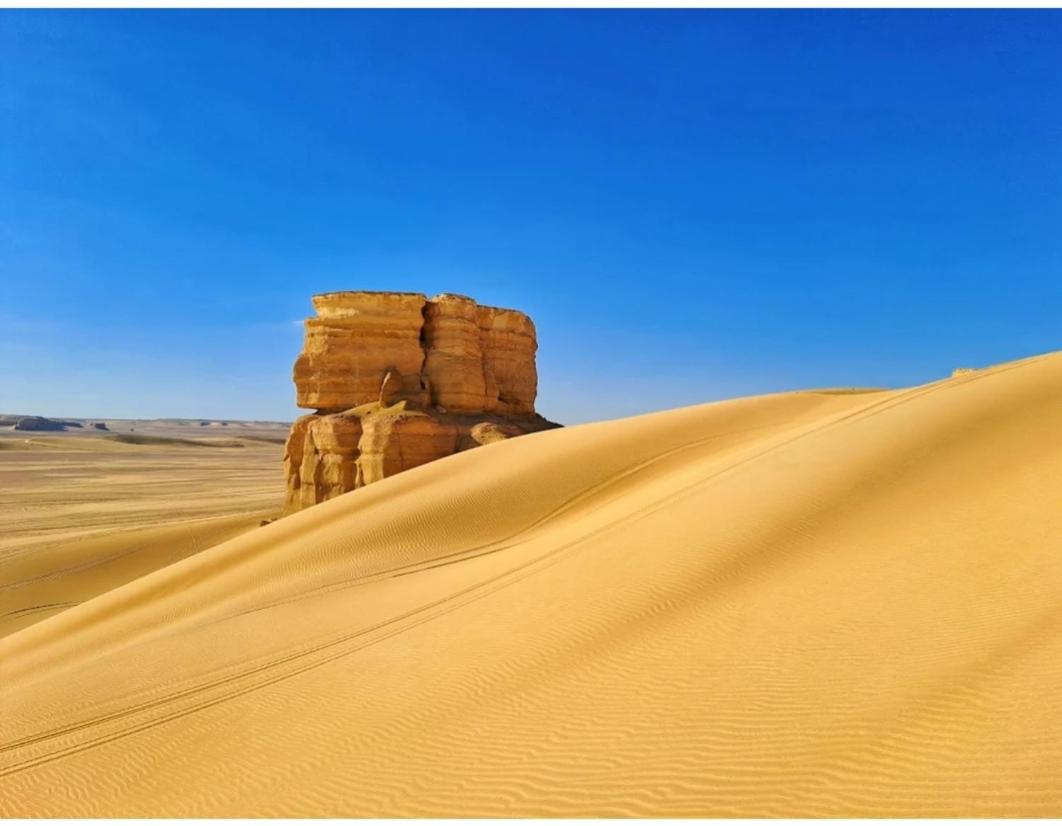 Qusoor elarab Camp