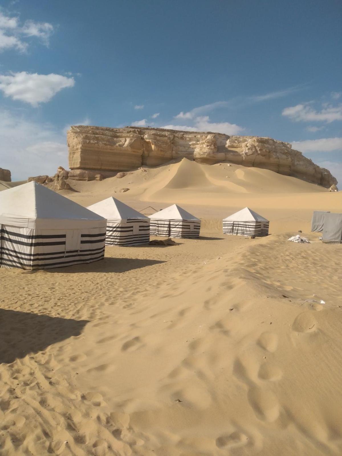 Qusoor elarab Camp