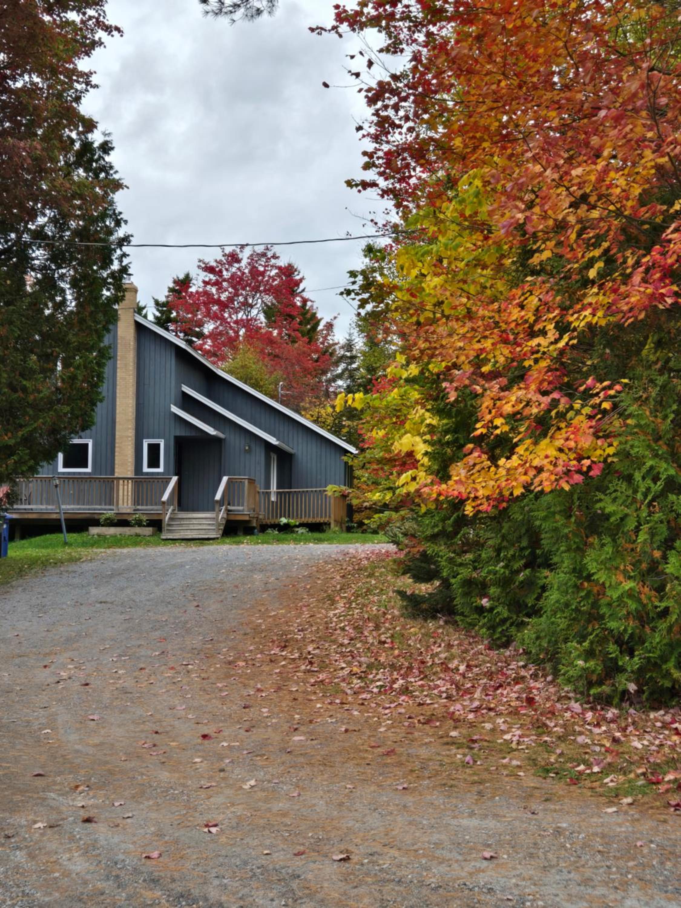Rustic Hideaway