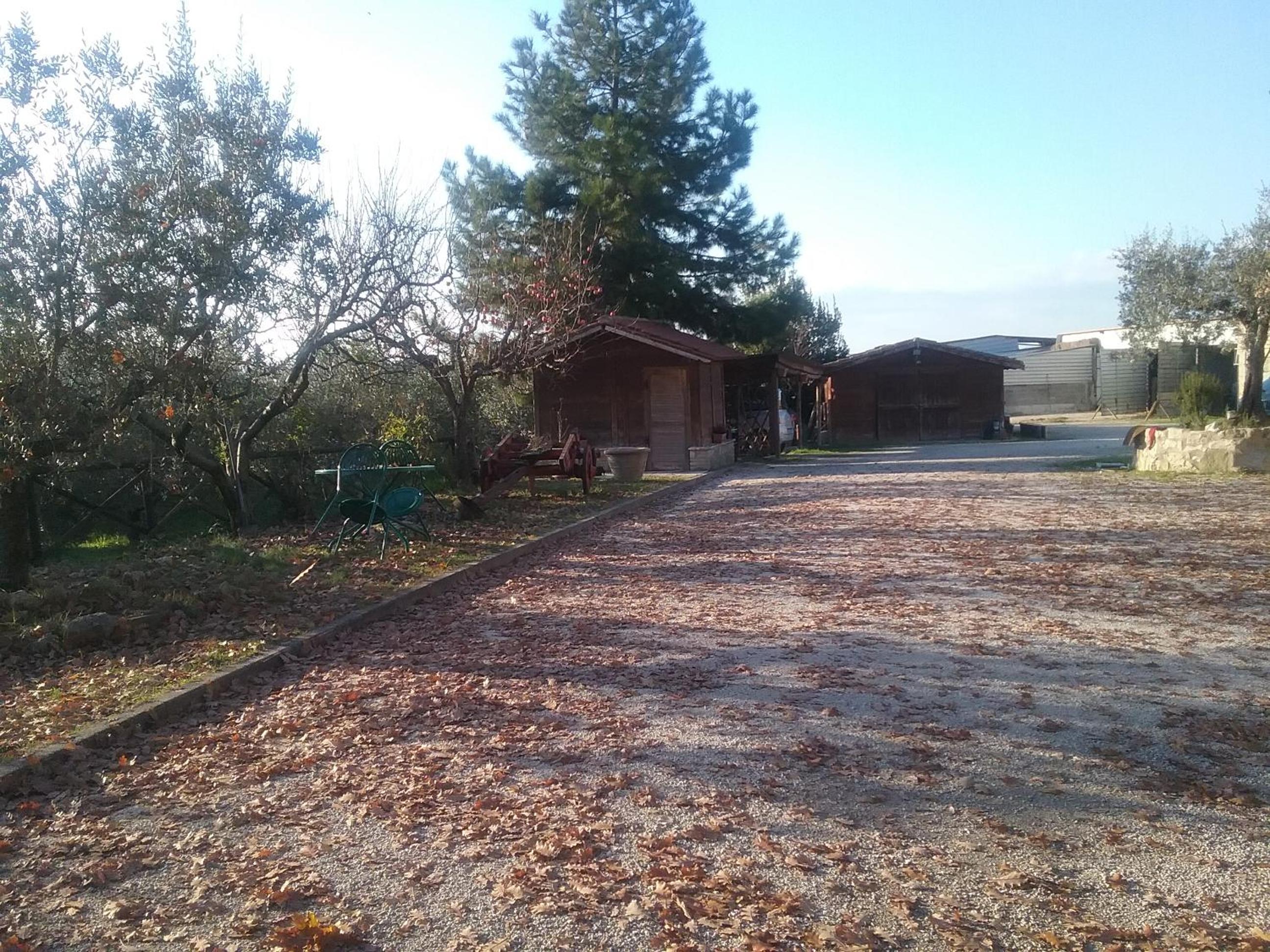 Photo 25