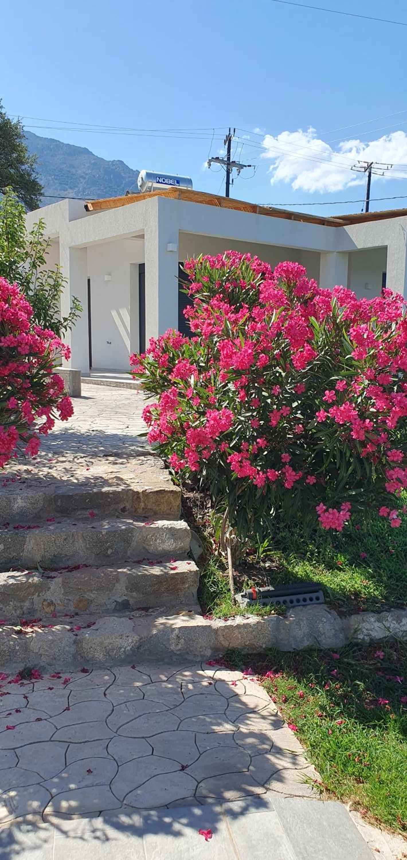 Boutique apartments Myesis
