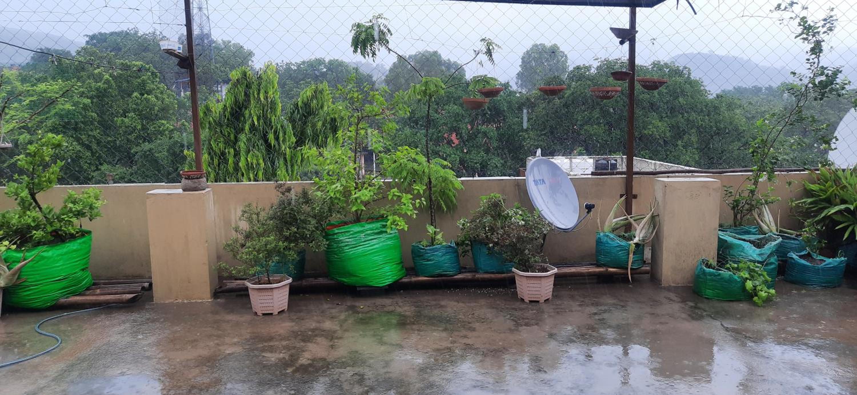 Vedic Life Homestay & Wellness Centre