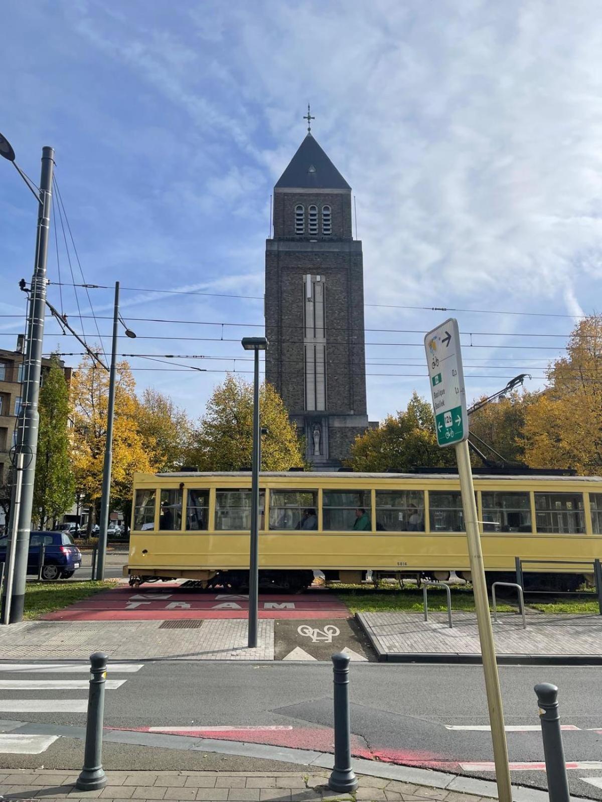 La belle étoile de Bruxelles