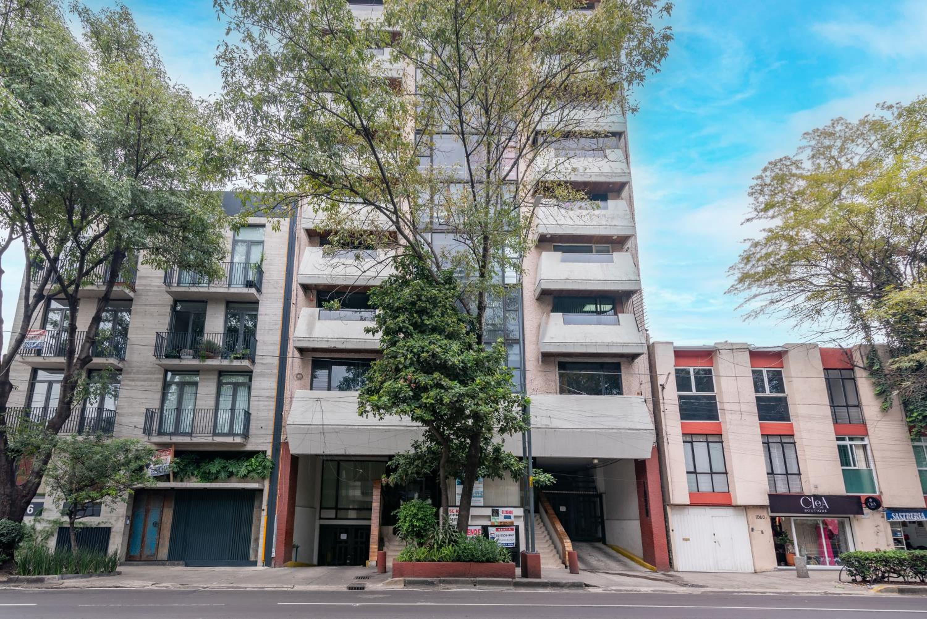 Luxury & spacious Apt in CDMX — Mexico City