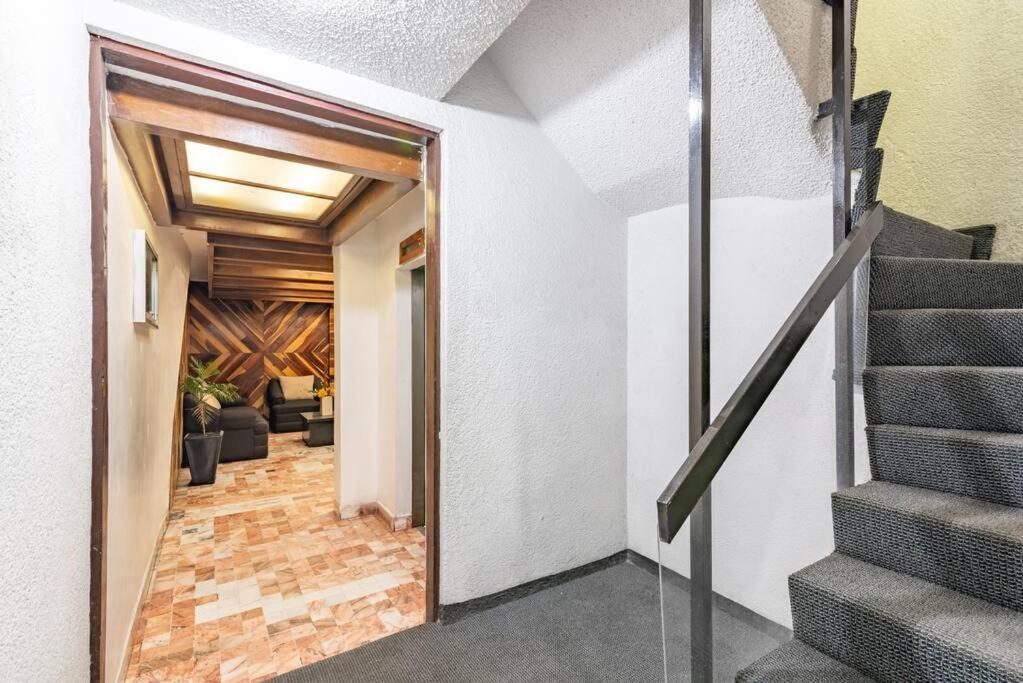 Luxury & spacious Apt in CDMX
